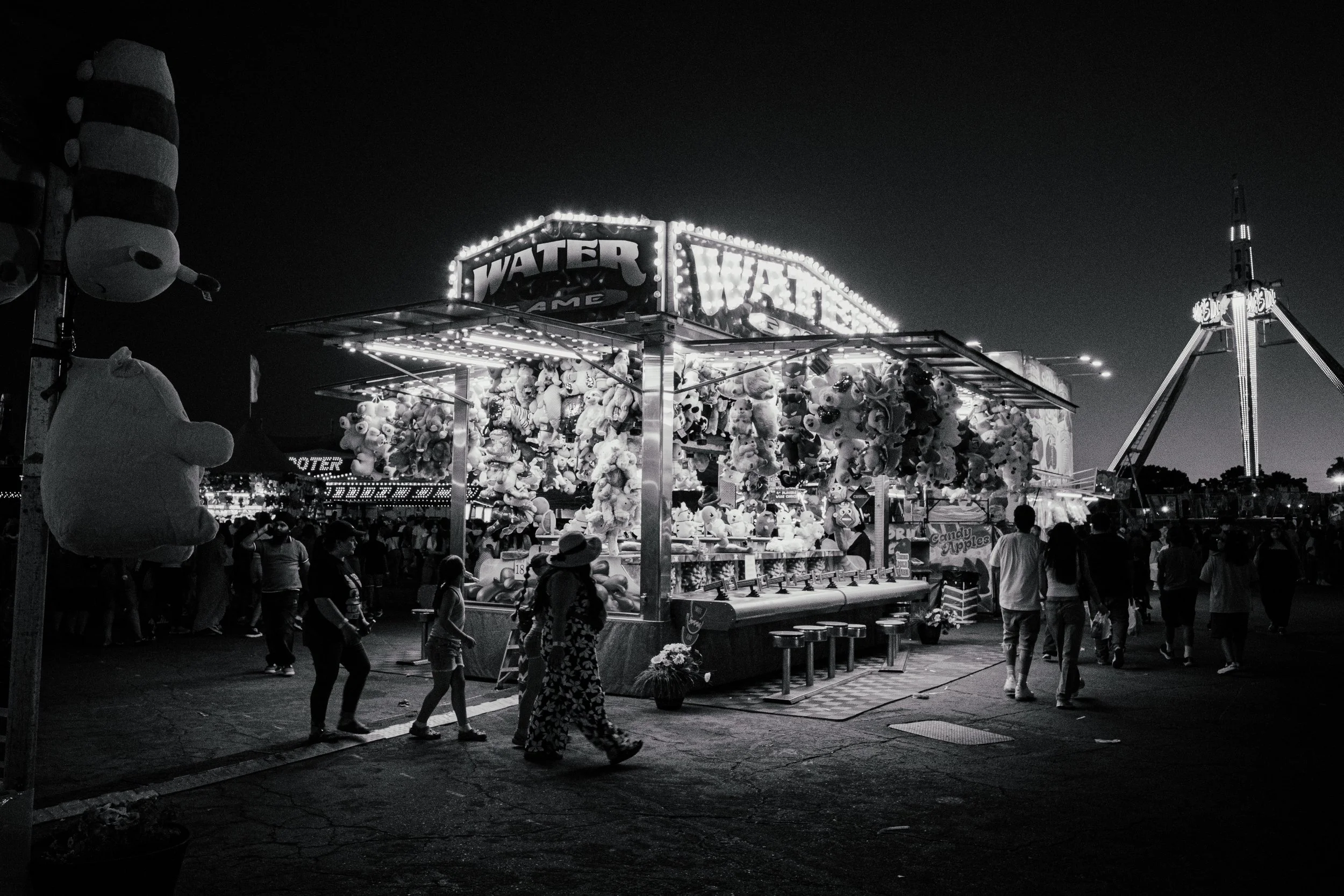 Sac_State_Fair_Set2-20.jpg
