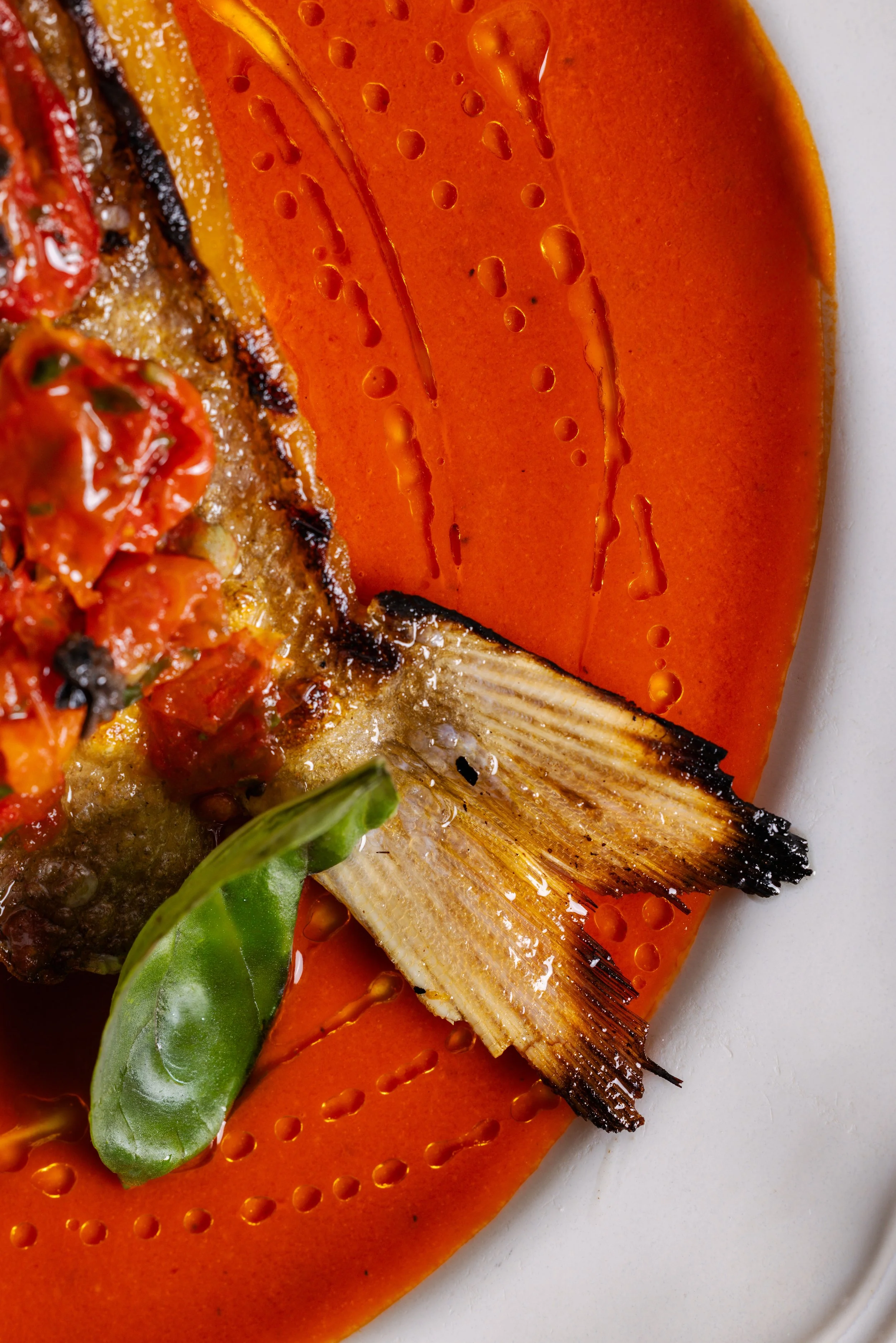 Postino Osteria Sydney