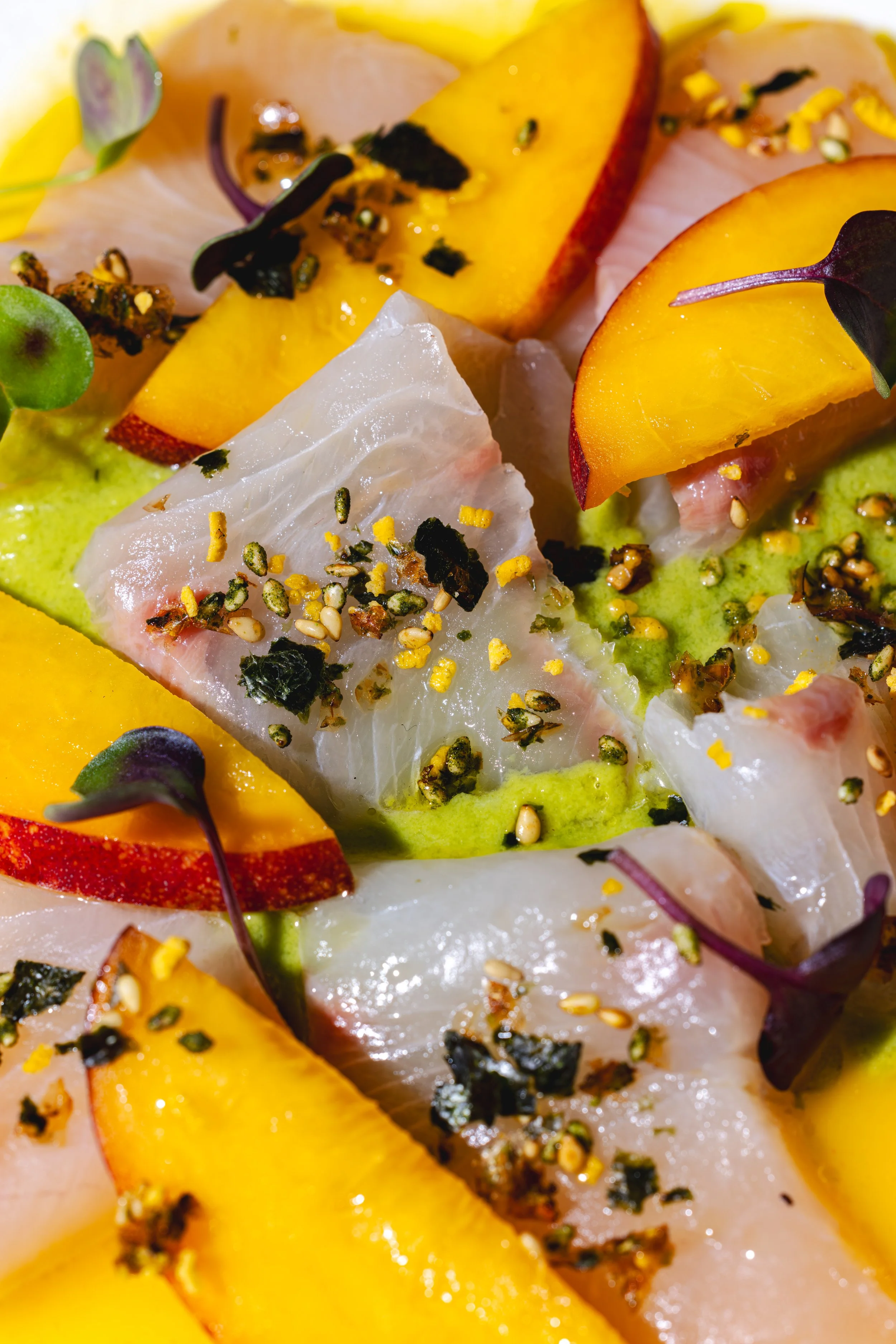 Kid_Kyoto_Andrea_Paez_2026-11 (1).jpg