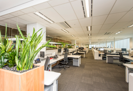 Office Fit-out photo.png