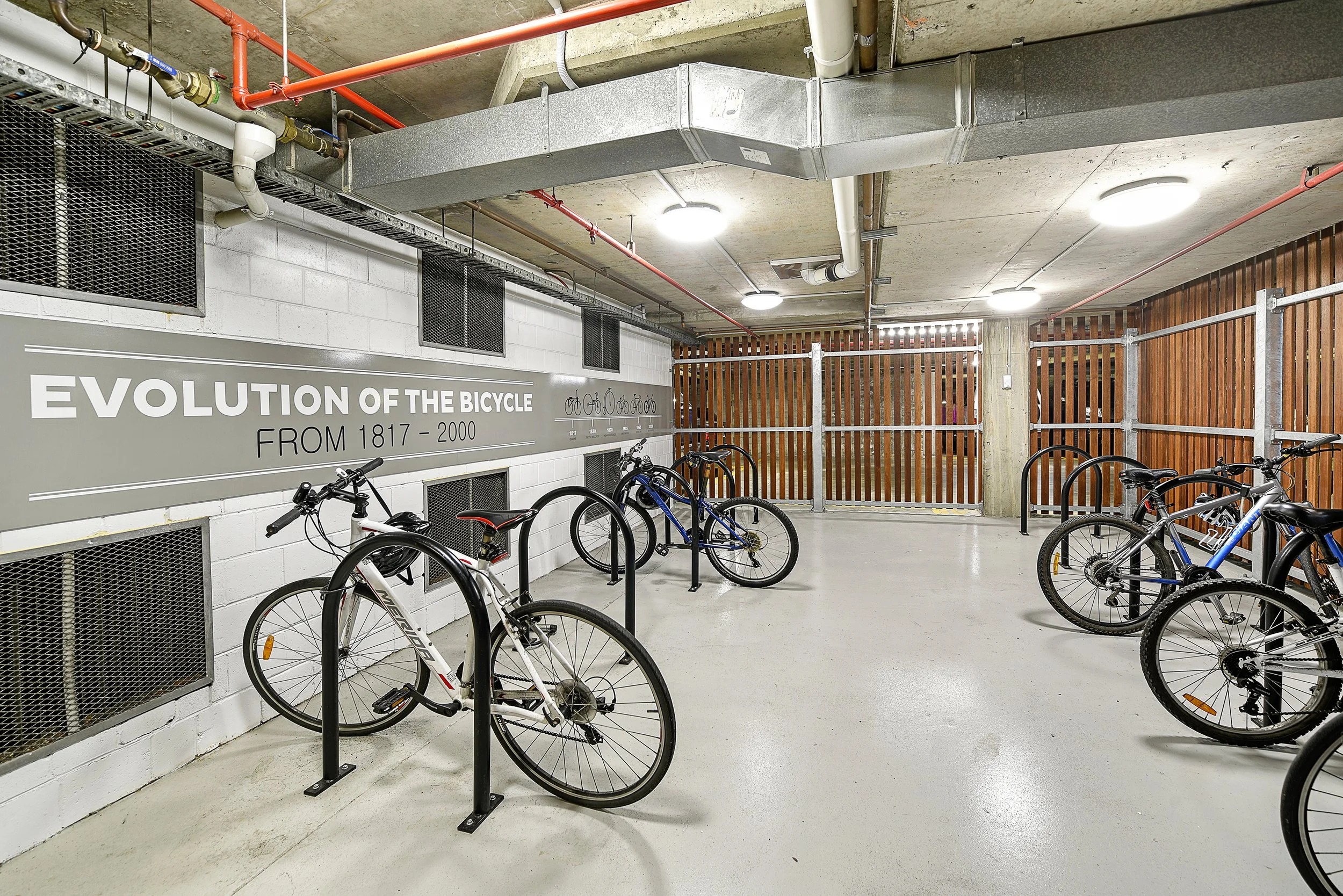 50 Cavill Avenue ~68.jpg