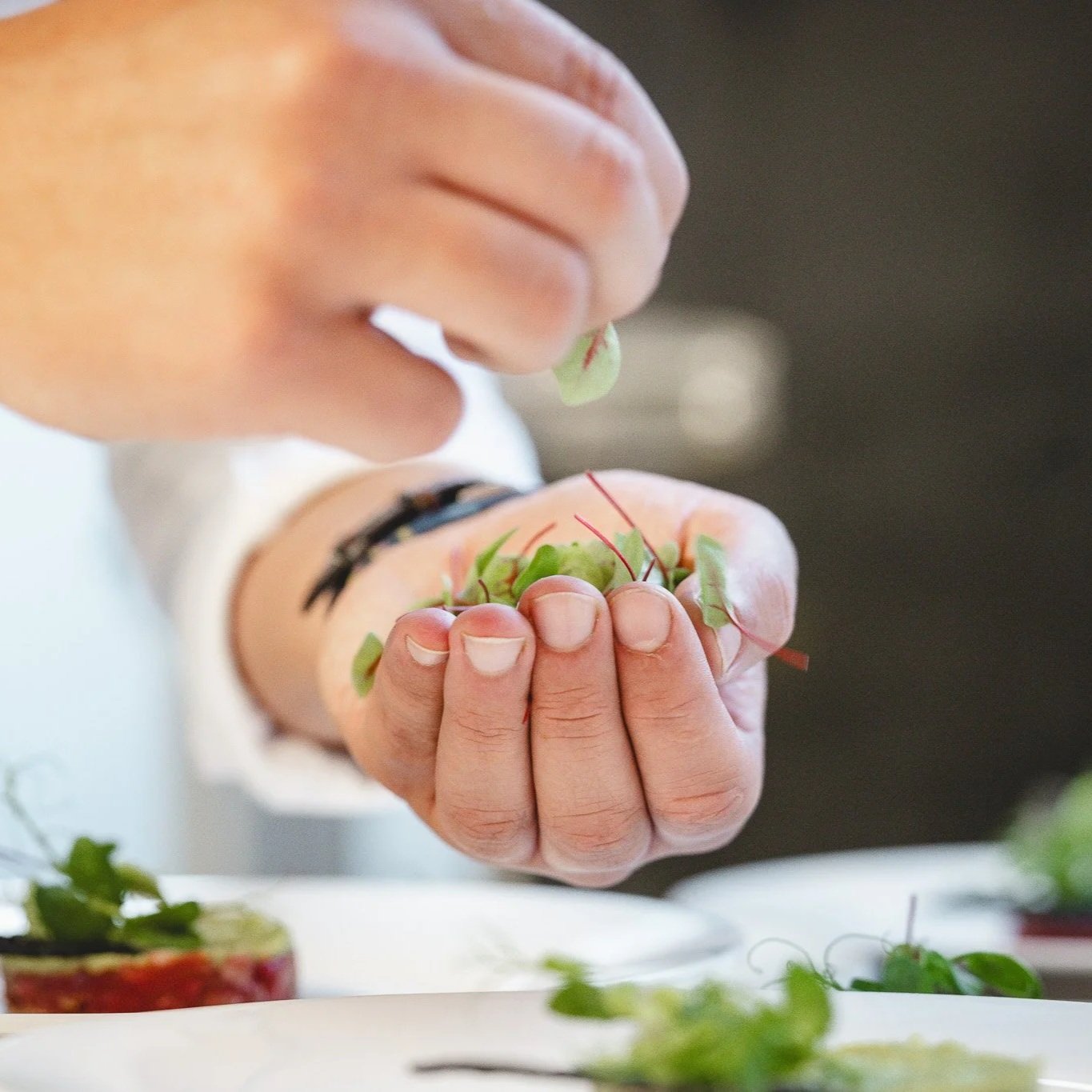 Dettaglio delle mani di uno chef