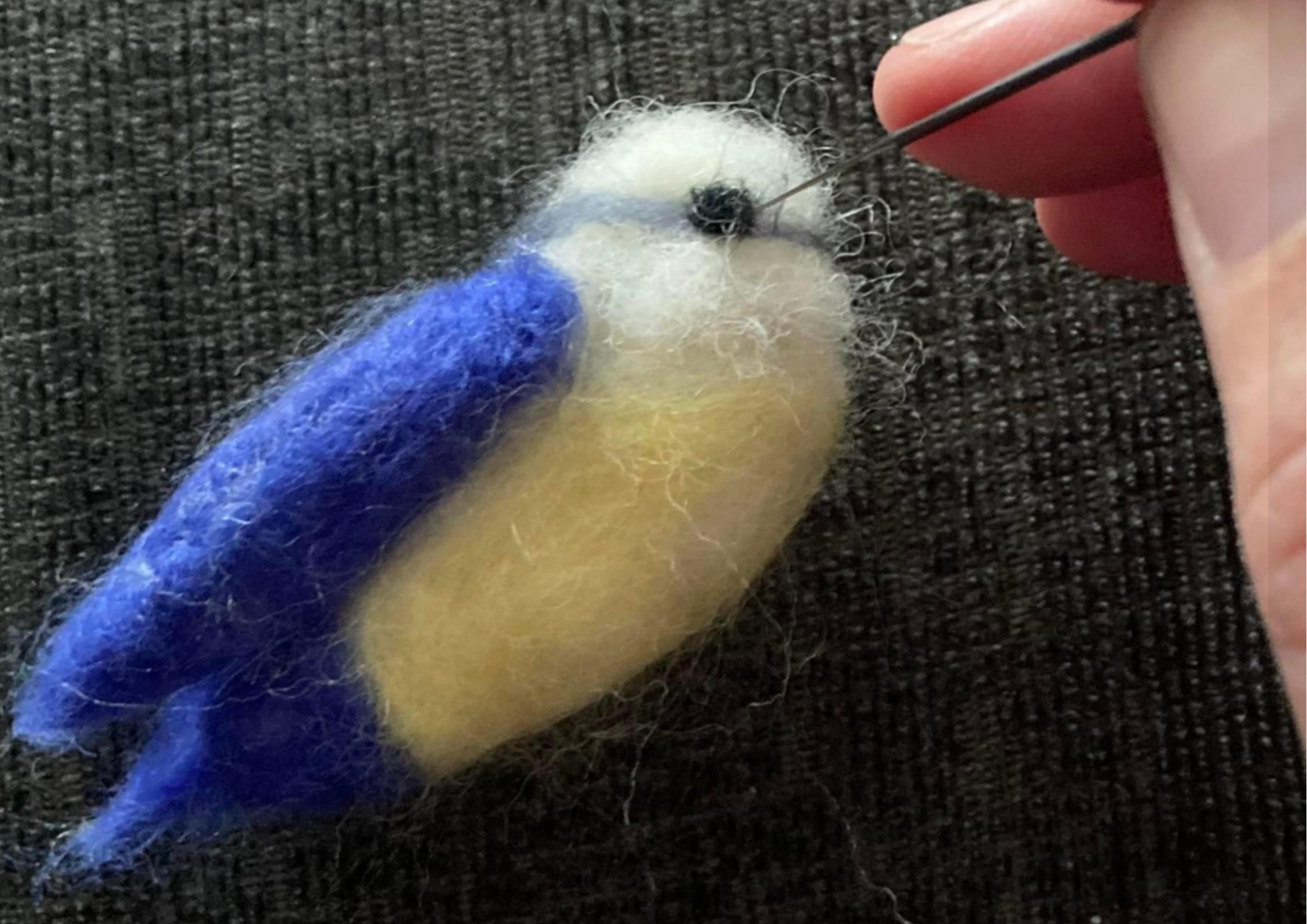 Untitled design-6.png