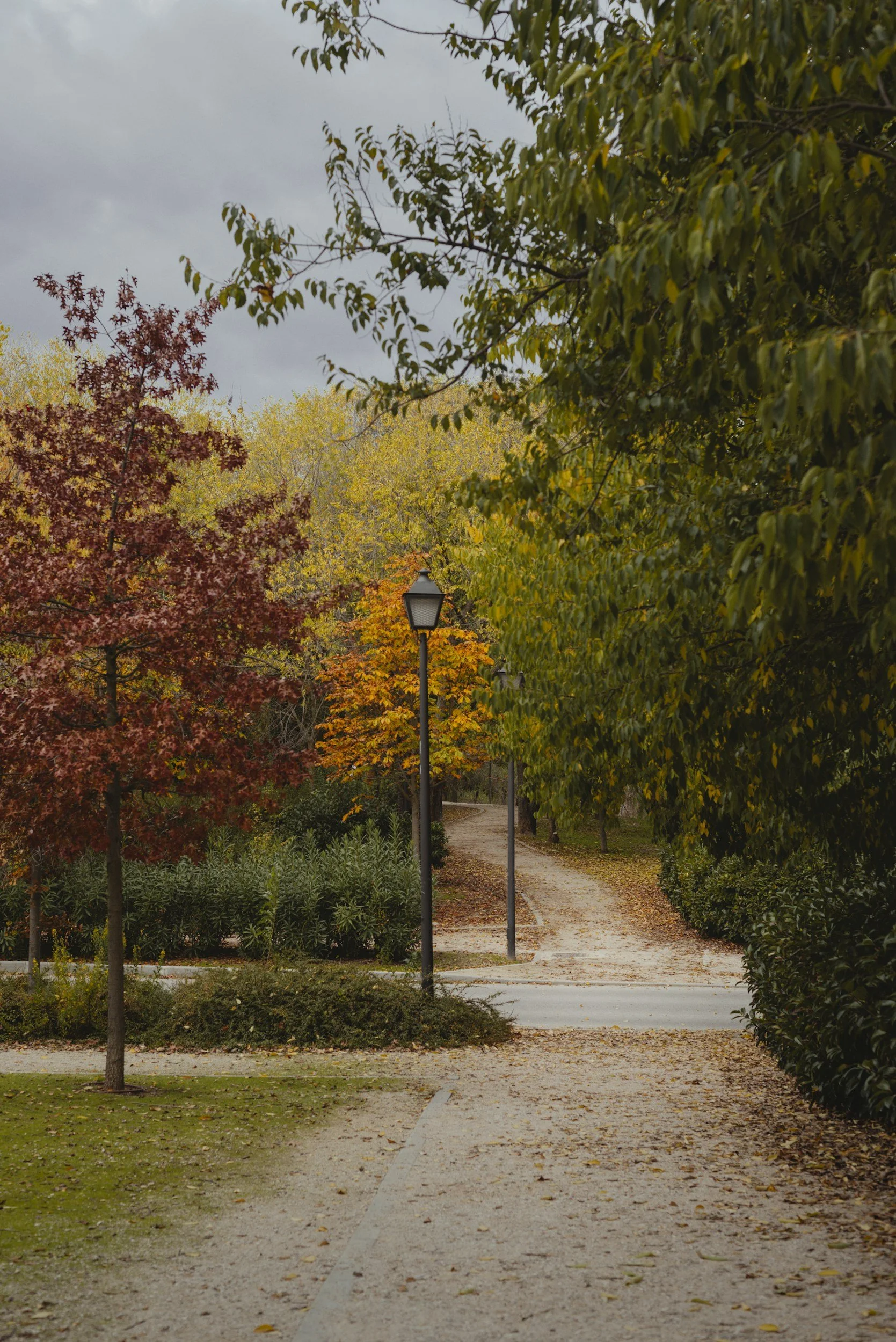 Woman with a gray backpack walking on a forest trail surrounded by tall trees and green foliage.