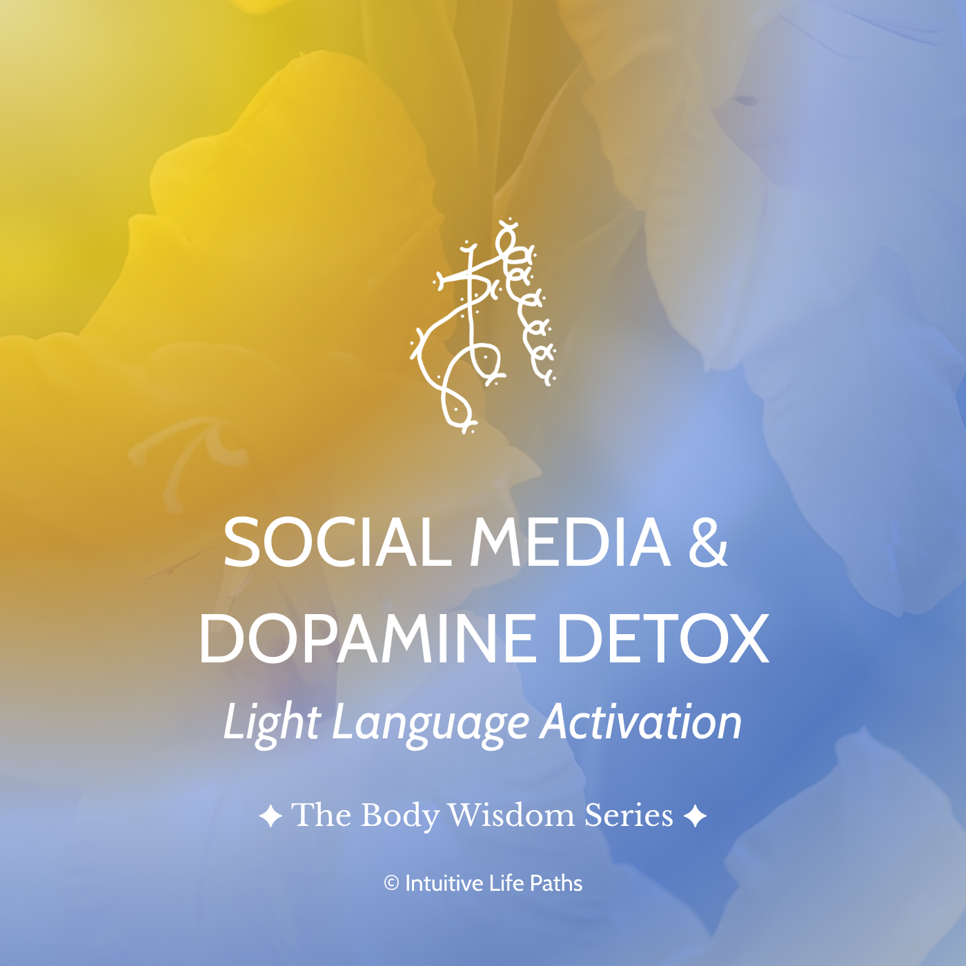 Social Media and Dopamine Detox Light Language Activation