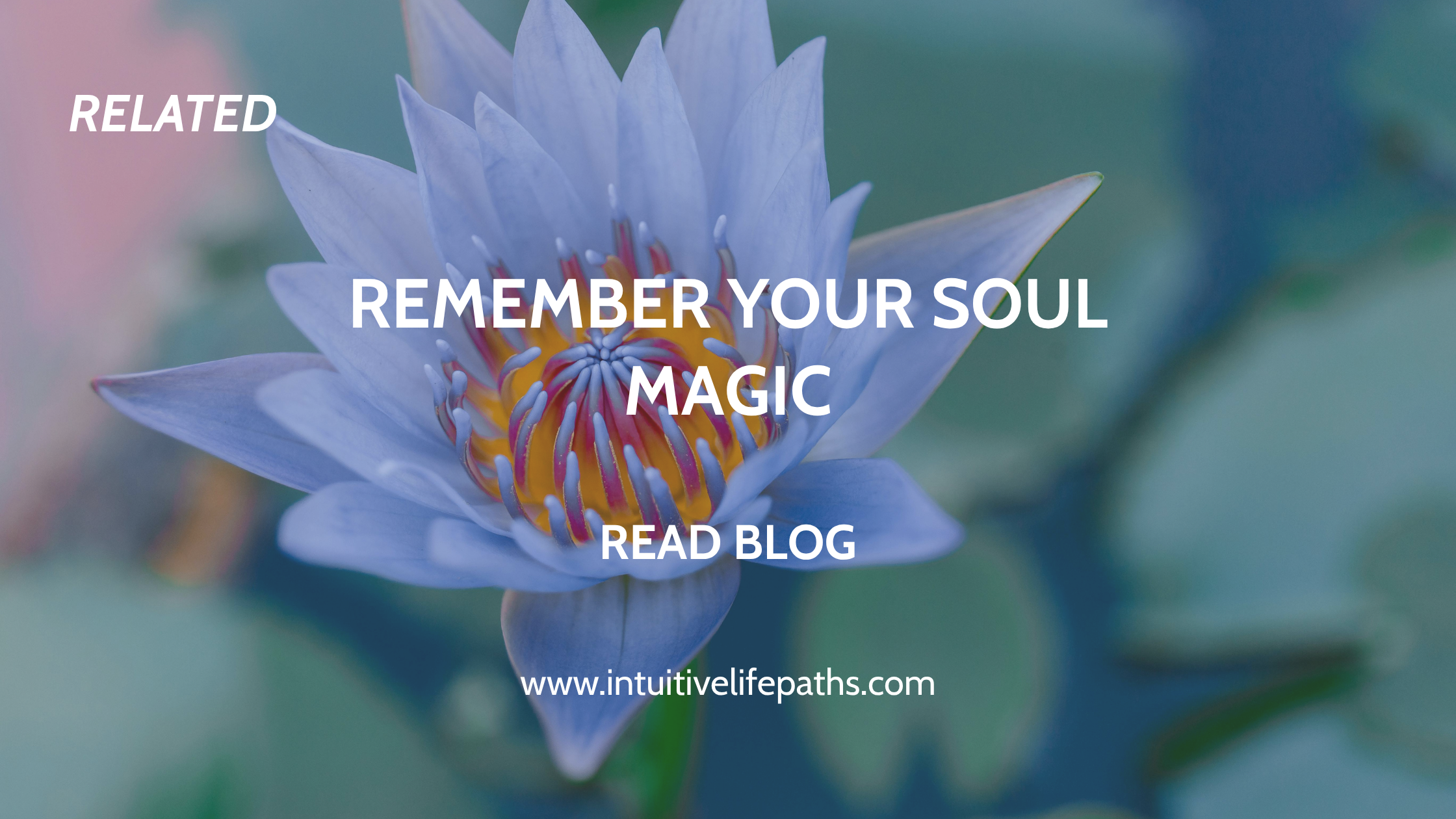 Remember Your Soul Magic — Related Blog Post — Intuitive Life Paths