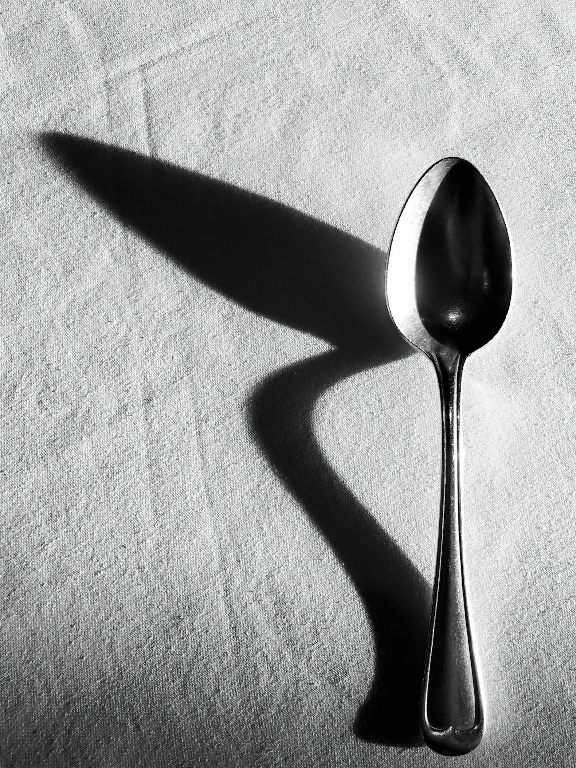 The Almighty Spoon