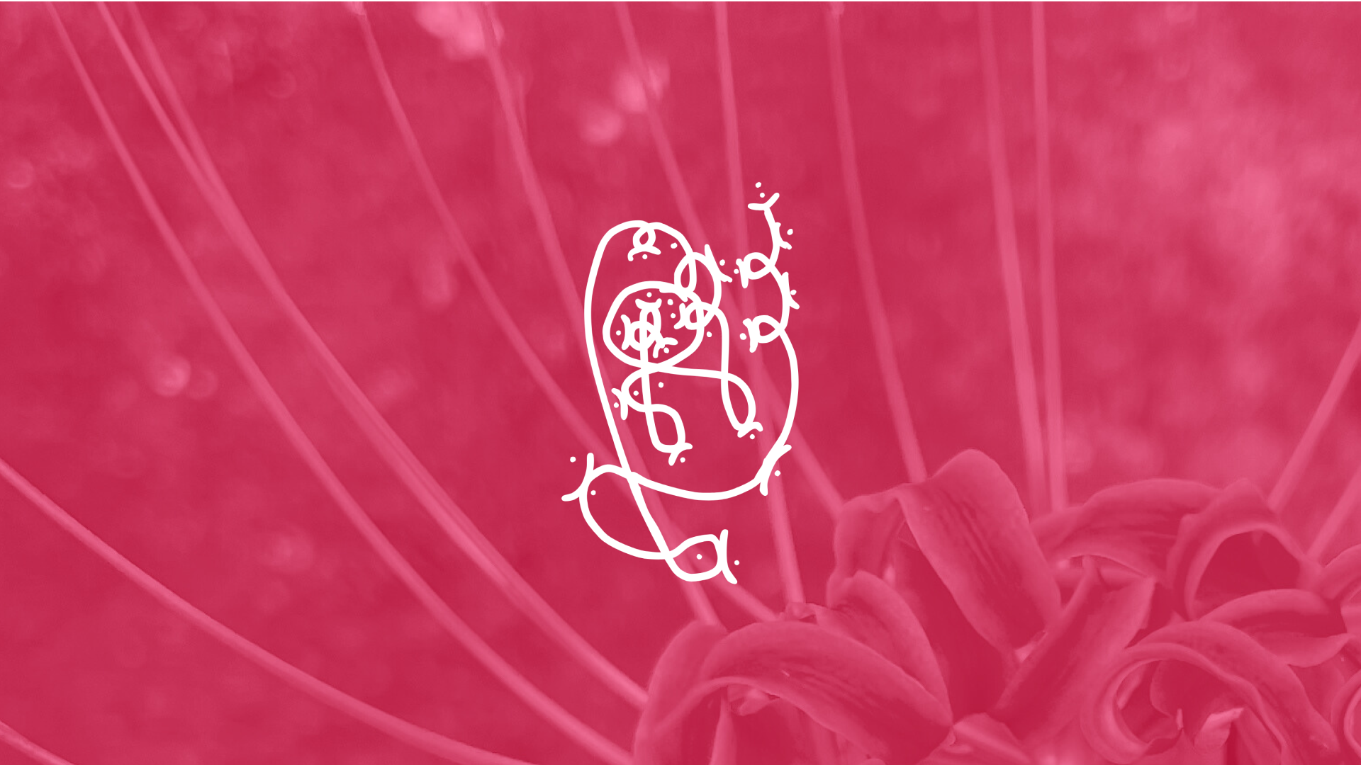 You Are Not Meant To Build Alone.