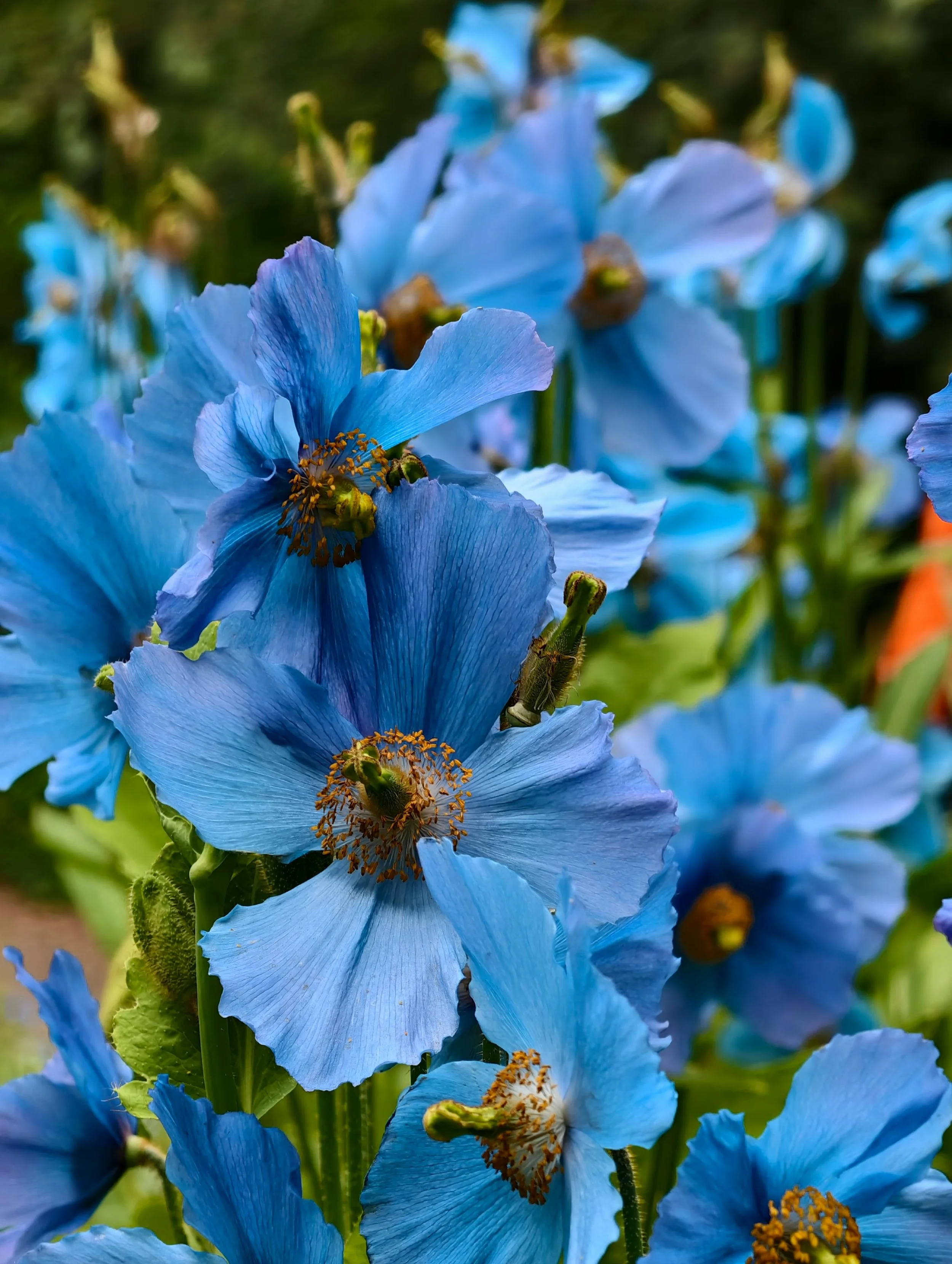 Why You Keep Falling in Love With Potential Instead of Reality