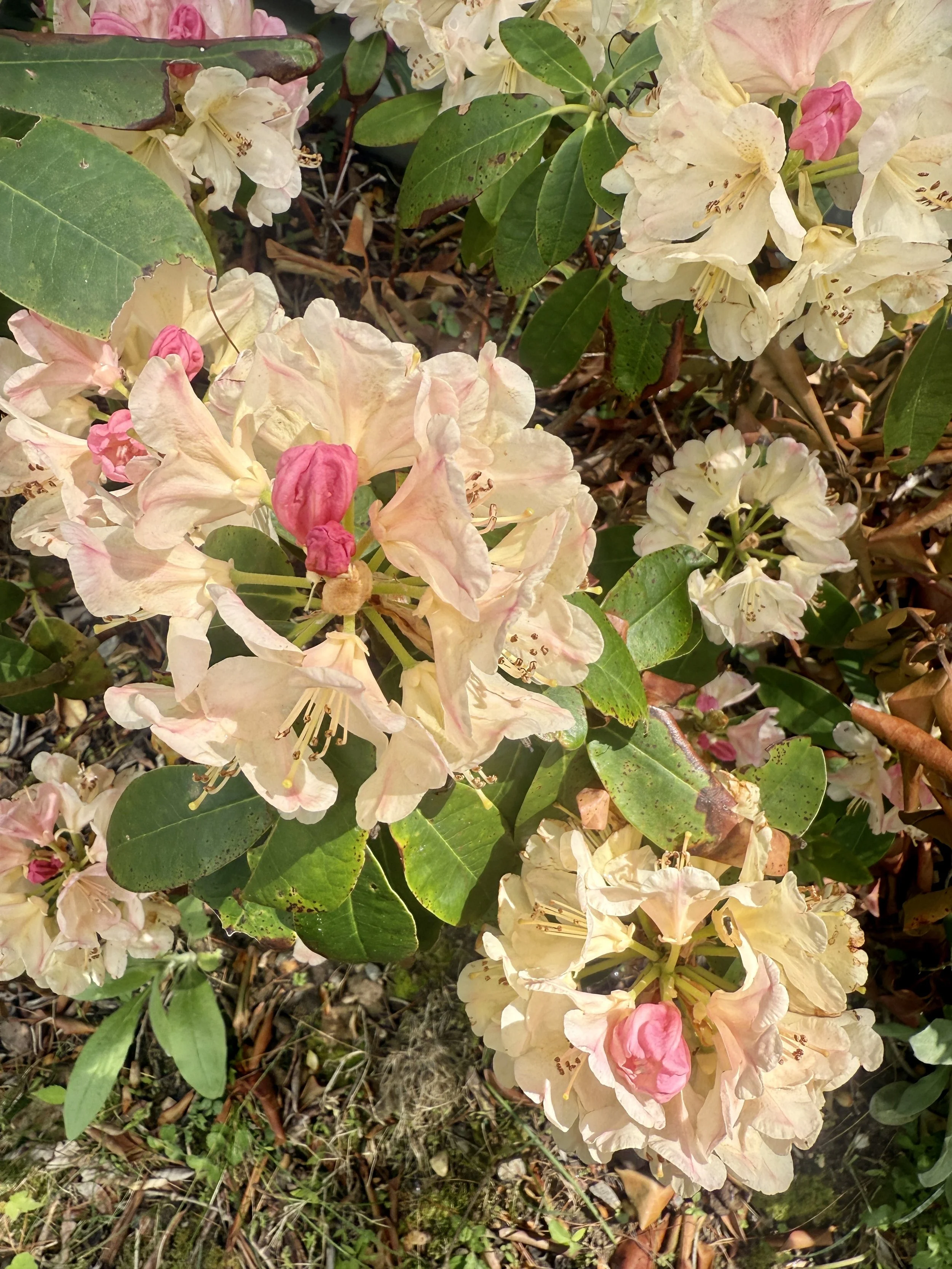 Rejection As Protection. How Life Moves You Out Of What No Longer Matches You.