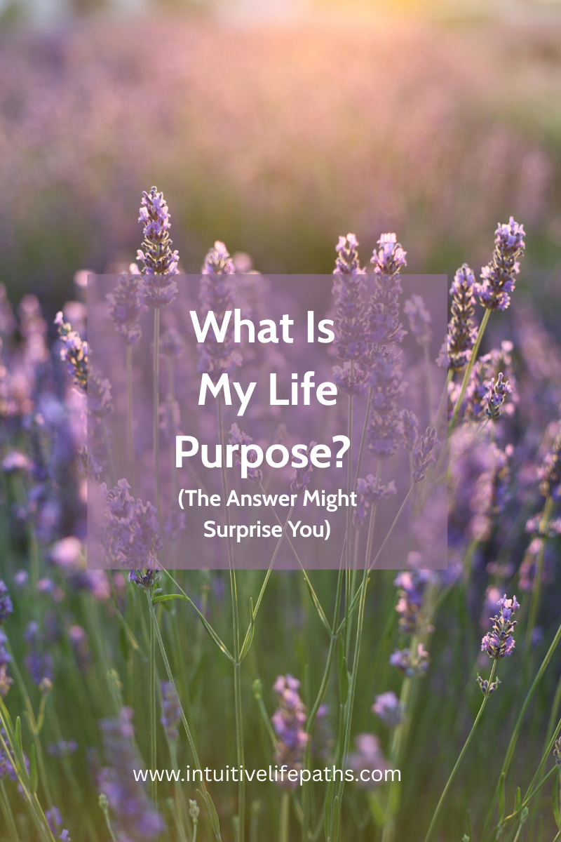 What Is My Life Purpose? (The Answer Might Surprise You)