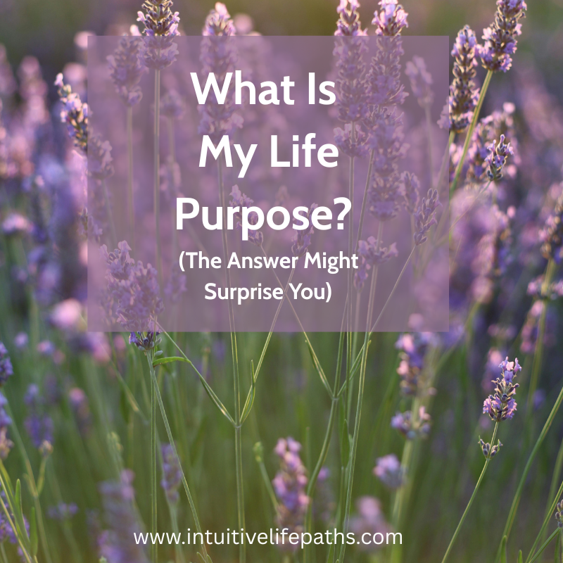 What Is My Life Purpose? (The Answer Might Surprise You)