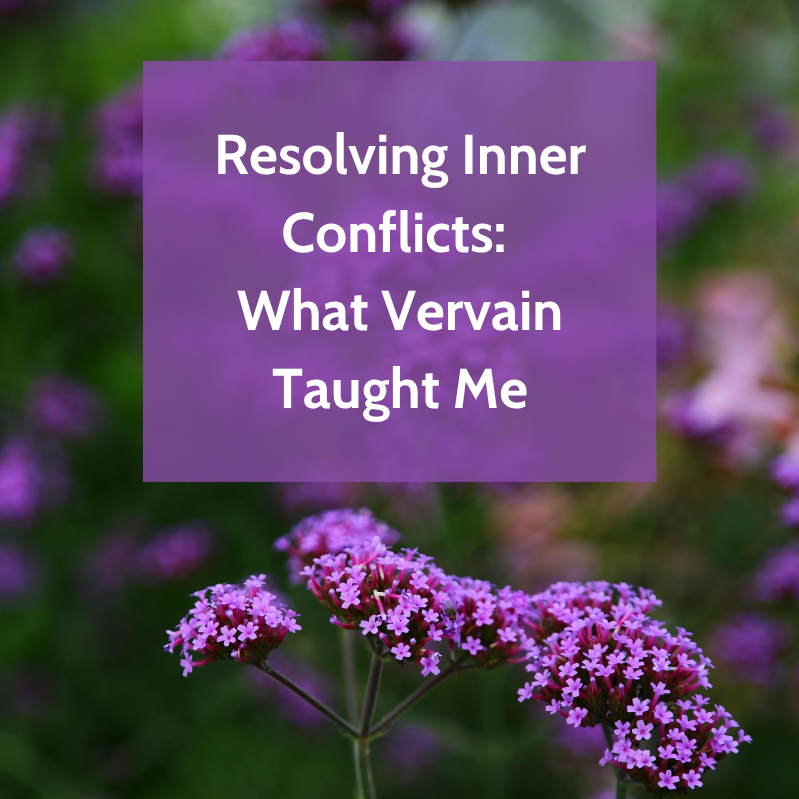 Resolving Inner Conflicts: What Vervain Taught Me