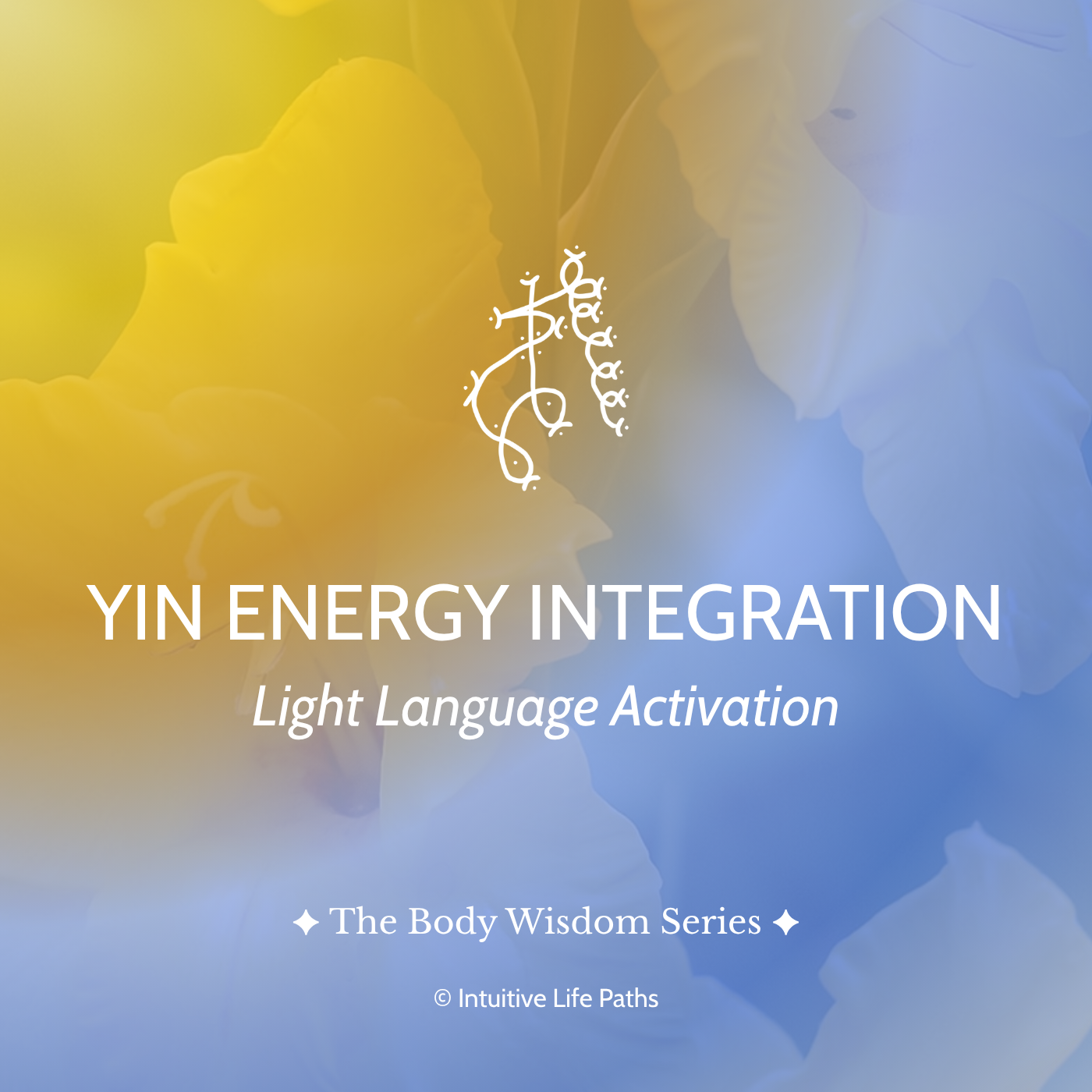 Yin Energy Integration Light Language Activation
