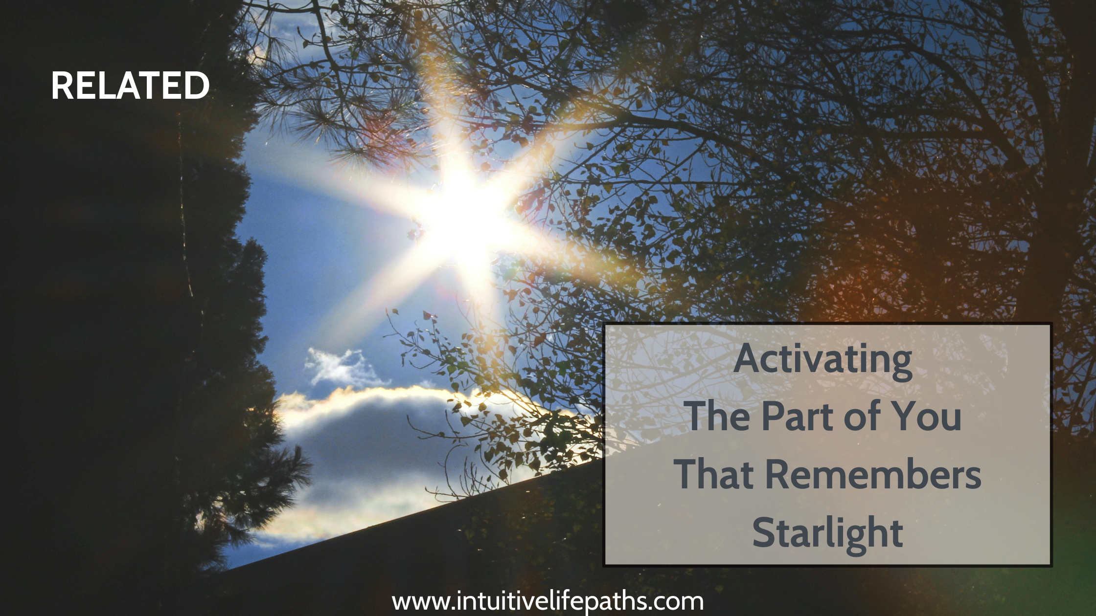 Activating the part of you that remembers starlight — Intuitive Life Paths