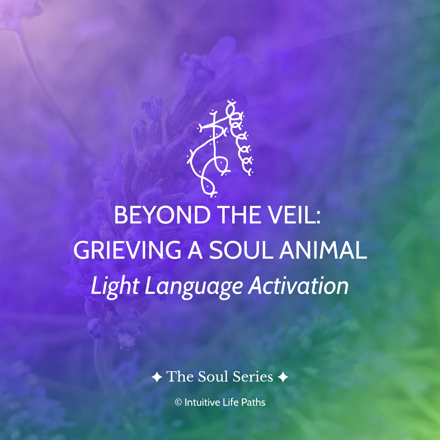Beyond the Veil: Grieving a Soul Animal Light Language Activation