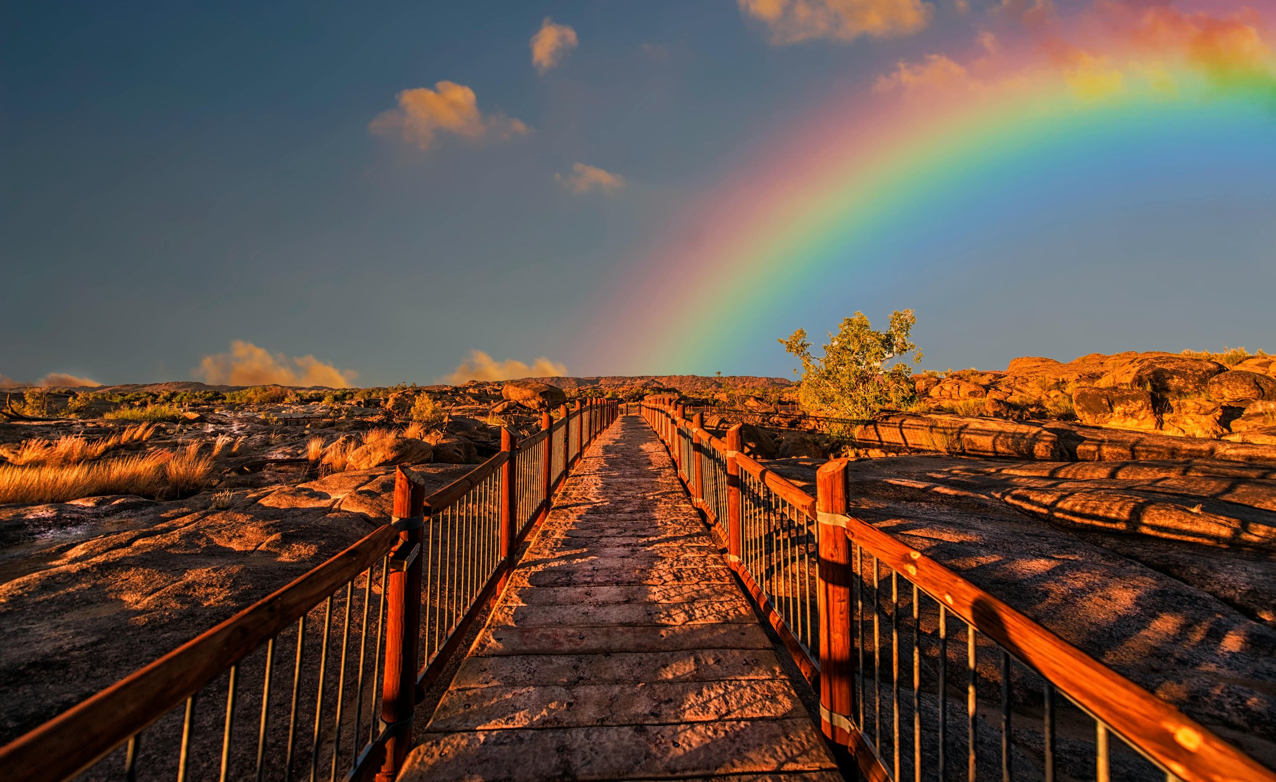 5 Signs You're Being Called to a New Life Path