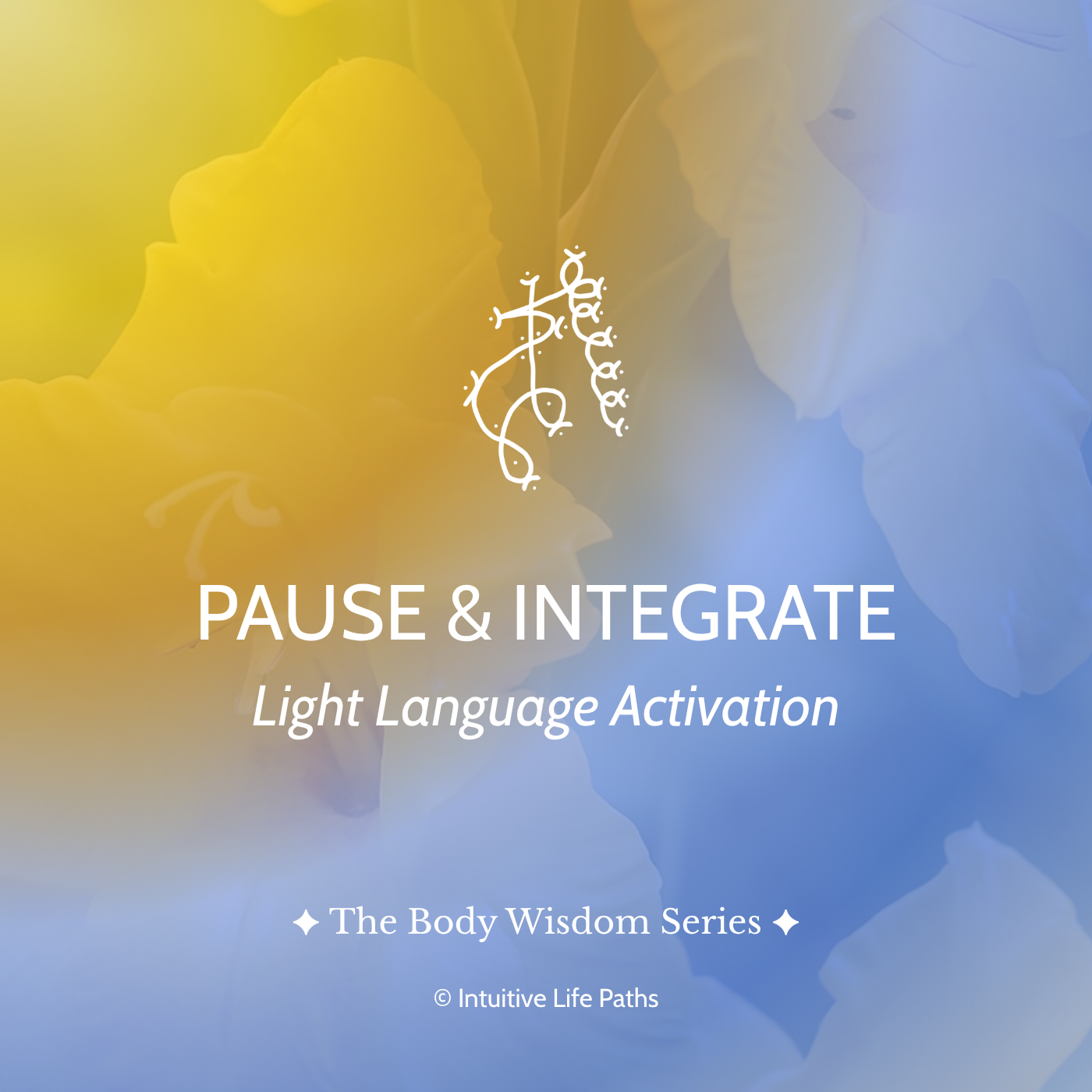 Pause & integrate Light Language Activation.png