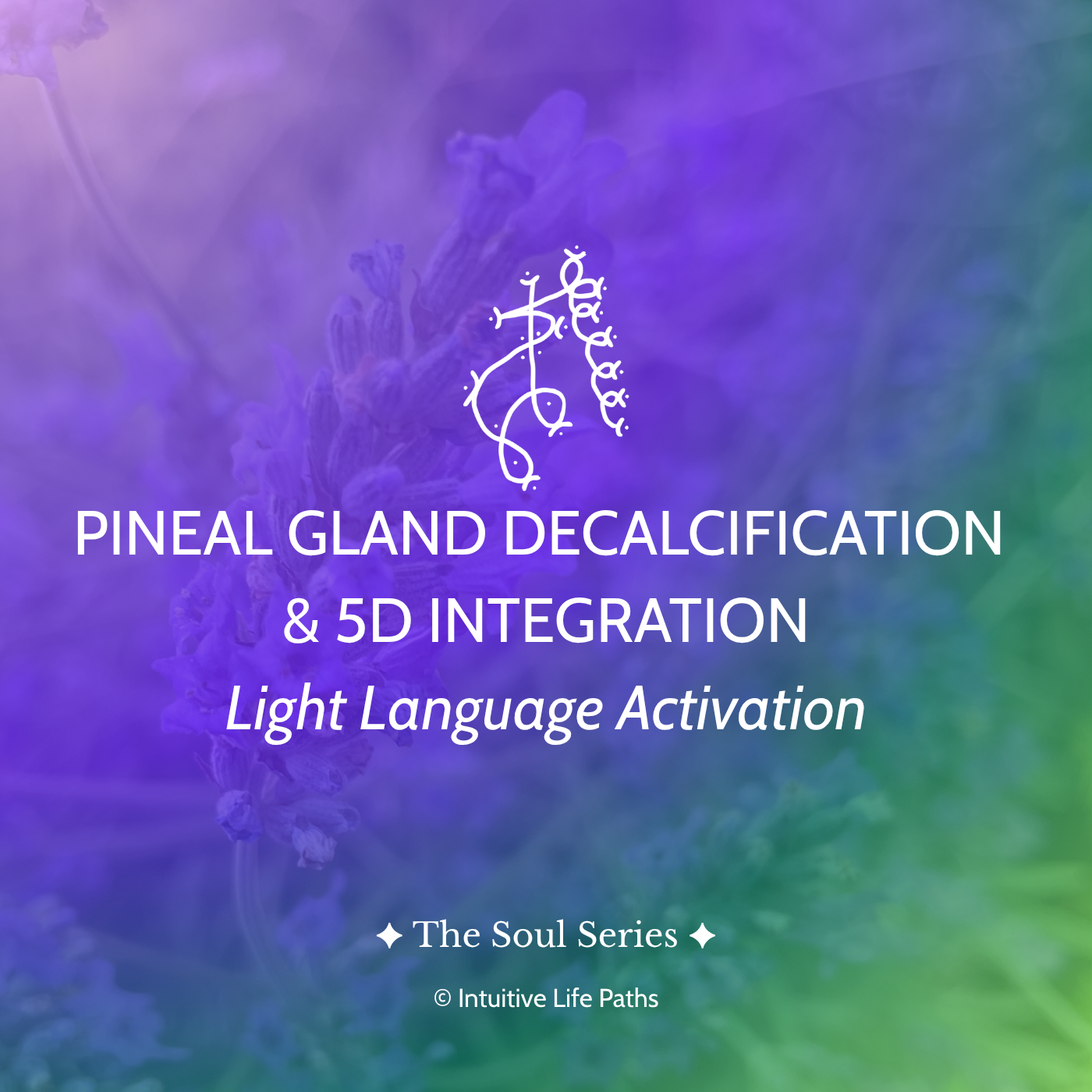 Pineal Gland Decalcification & 5D Integration Light Language Activation