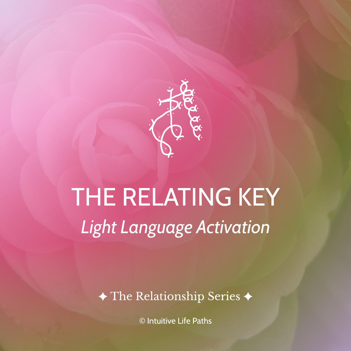 The Relating Key Light Language Activation
