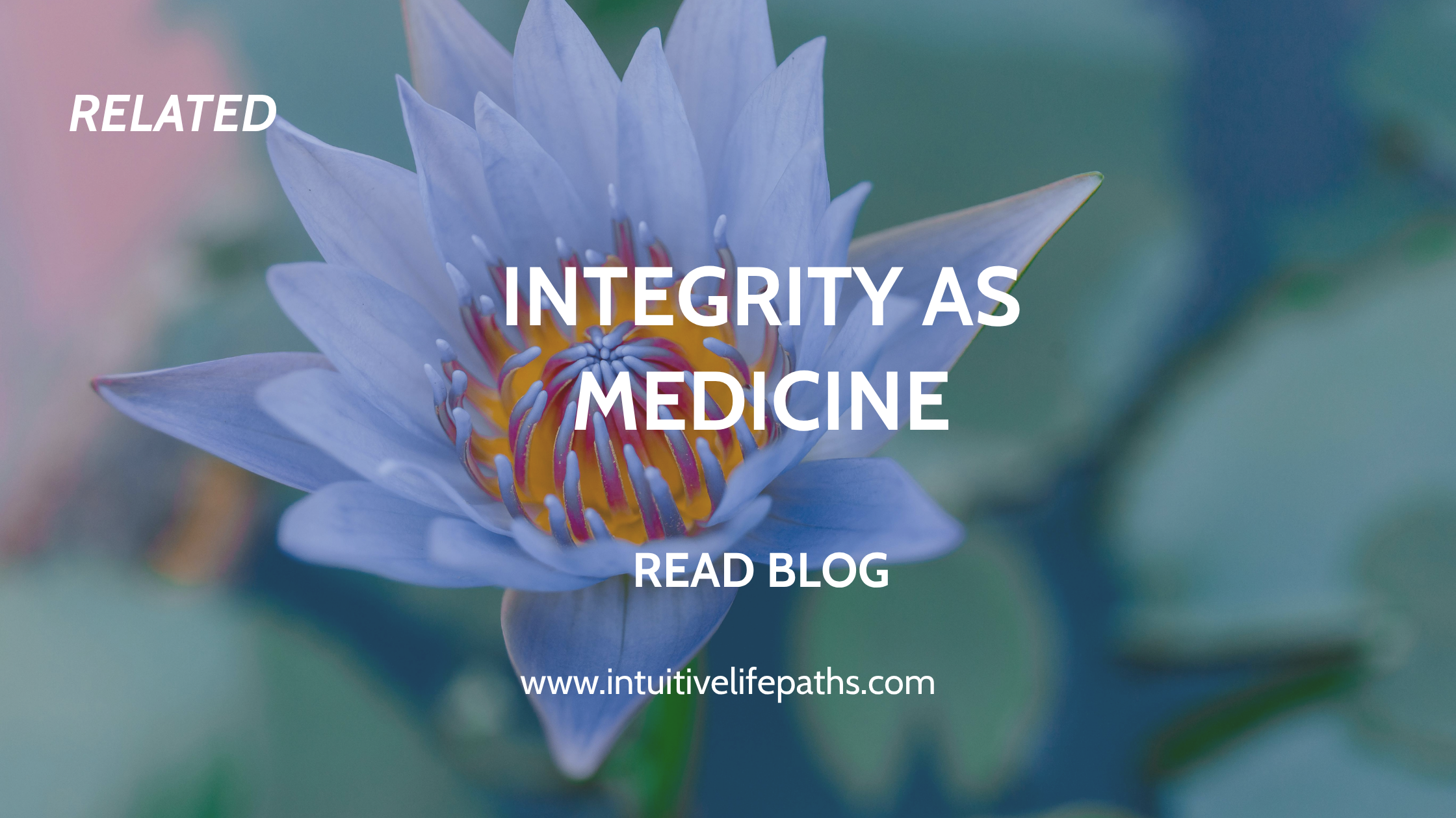 Integrity as Medicine — Related Blog Post — Intuitive Life Paths
