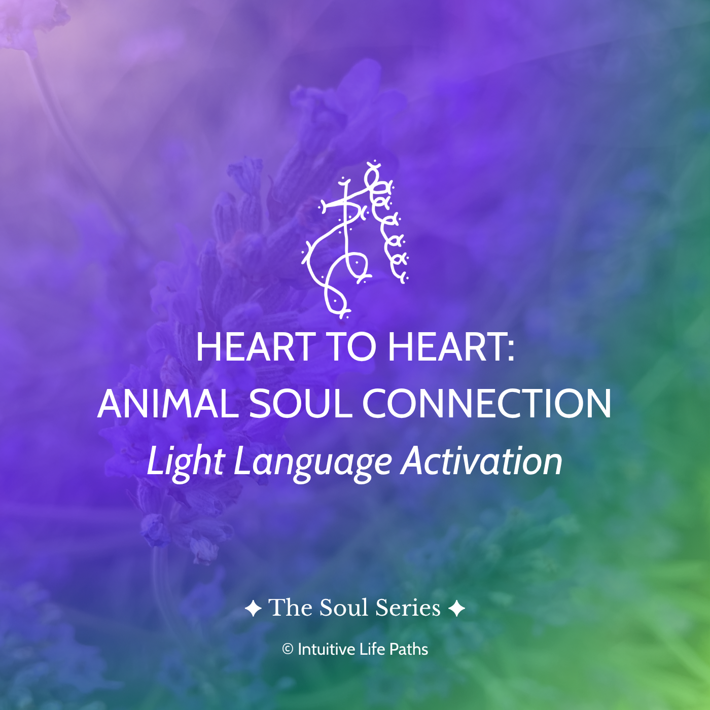 animal soul connection light language activation.png