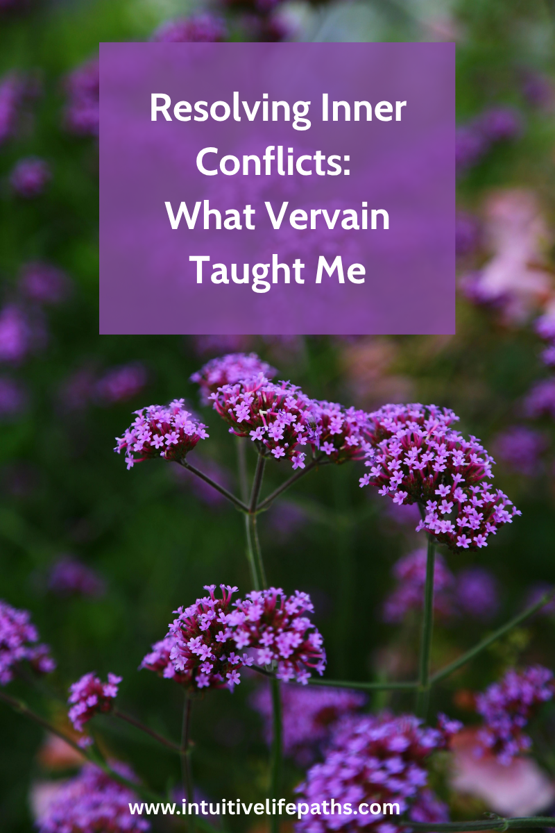 Resolving Inner conflicts: What Vervain Taught Me