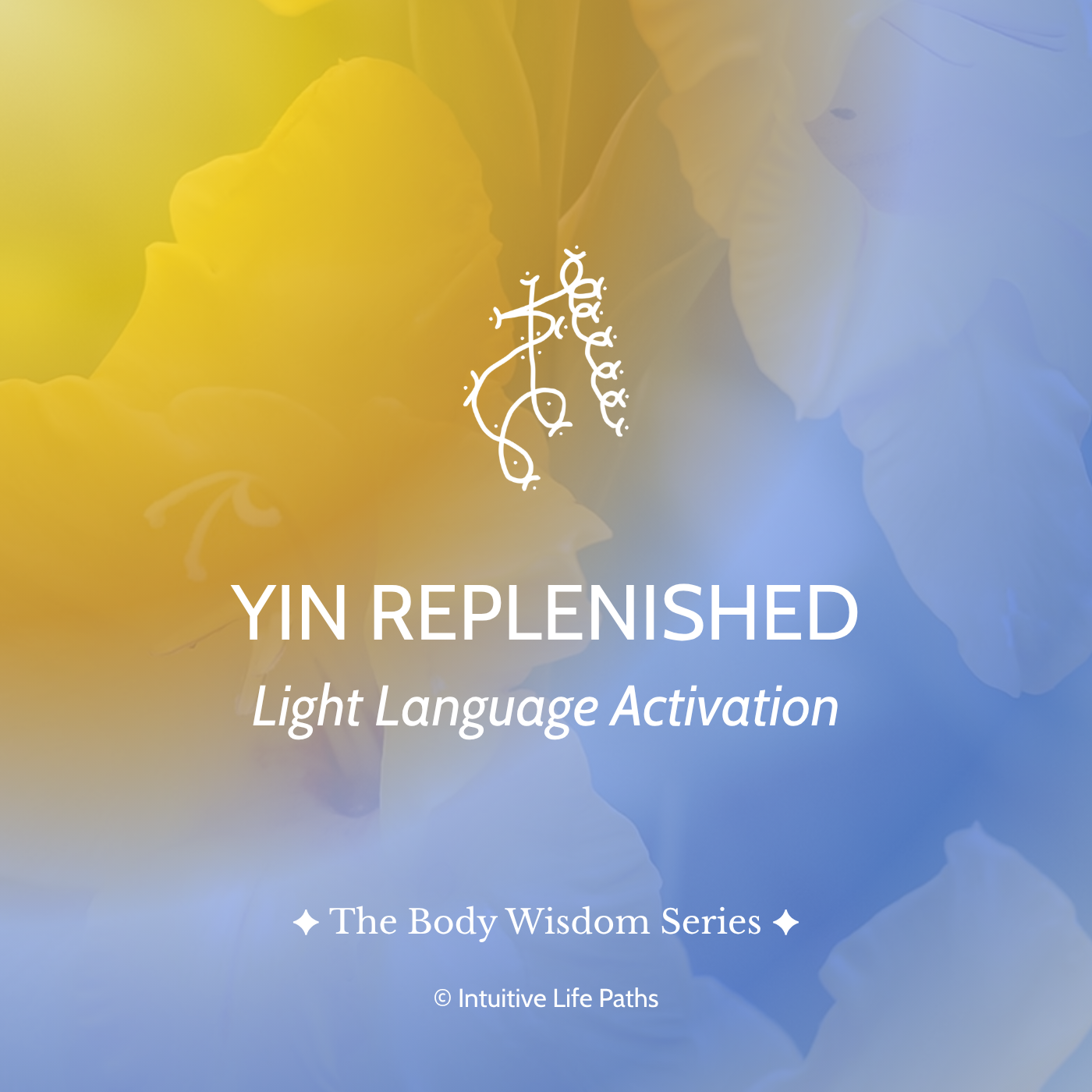 Yin Replenished Light Language Activation