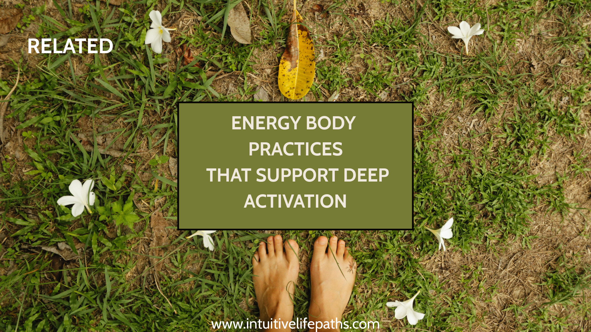 Bare feet standing on grass with white flowers and text overlay: Energy Body Practices That Support Deep Activation — intuitivelifepaths.com