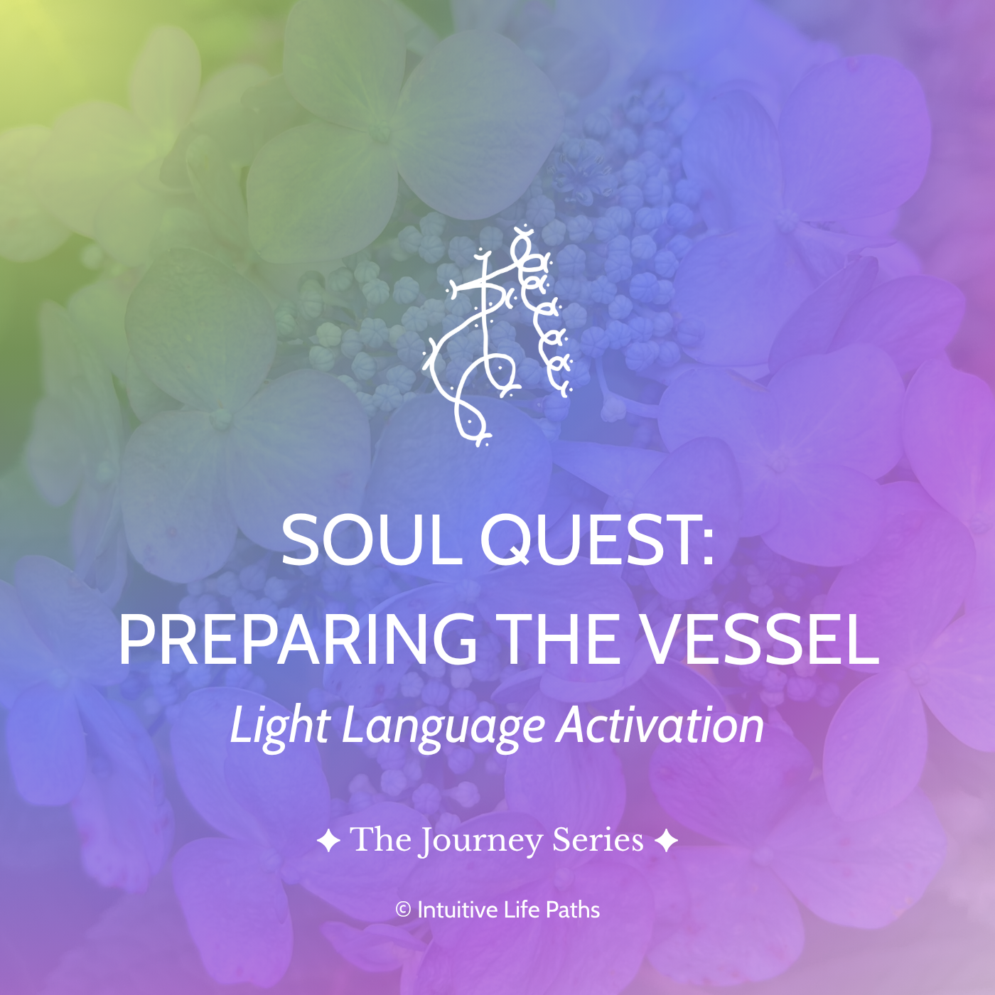 Soul Quest: Preparing The Vessel Light Language Activation