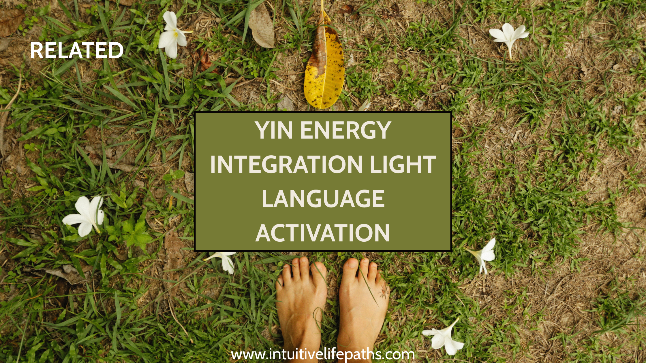 Bare feet standing on grass with white flowers and text overlay: Yin Energy Integration Light Language Activation — intuitivelifepaths.com