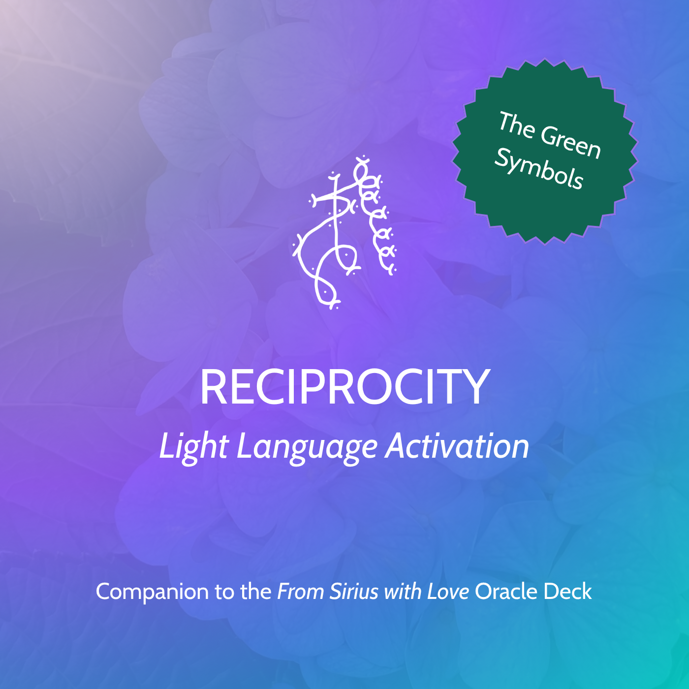 Reciprocity Light Language Activation.png