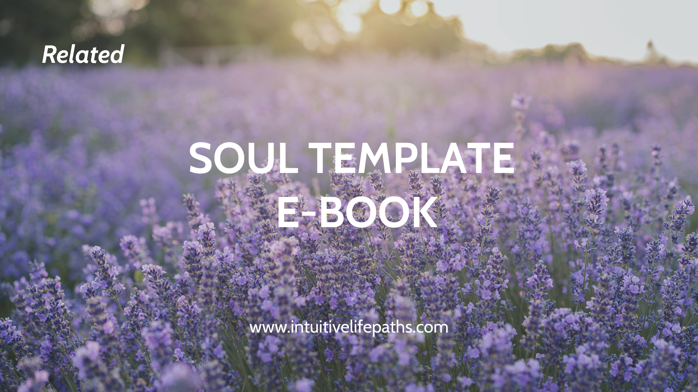 Purple lavender field with text overlay promoting the Soul Template ebook at Intuitive Life Paths