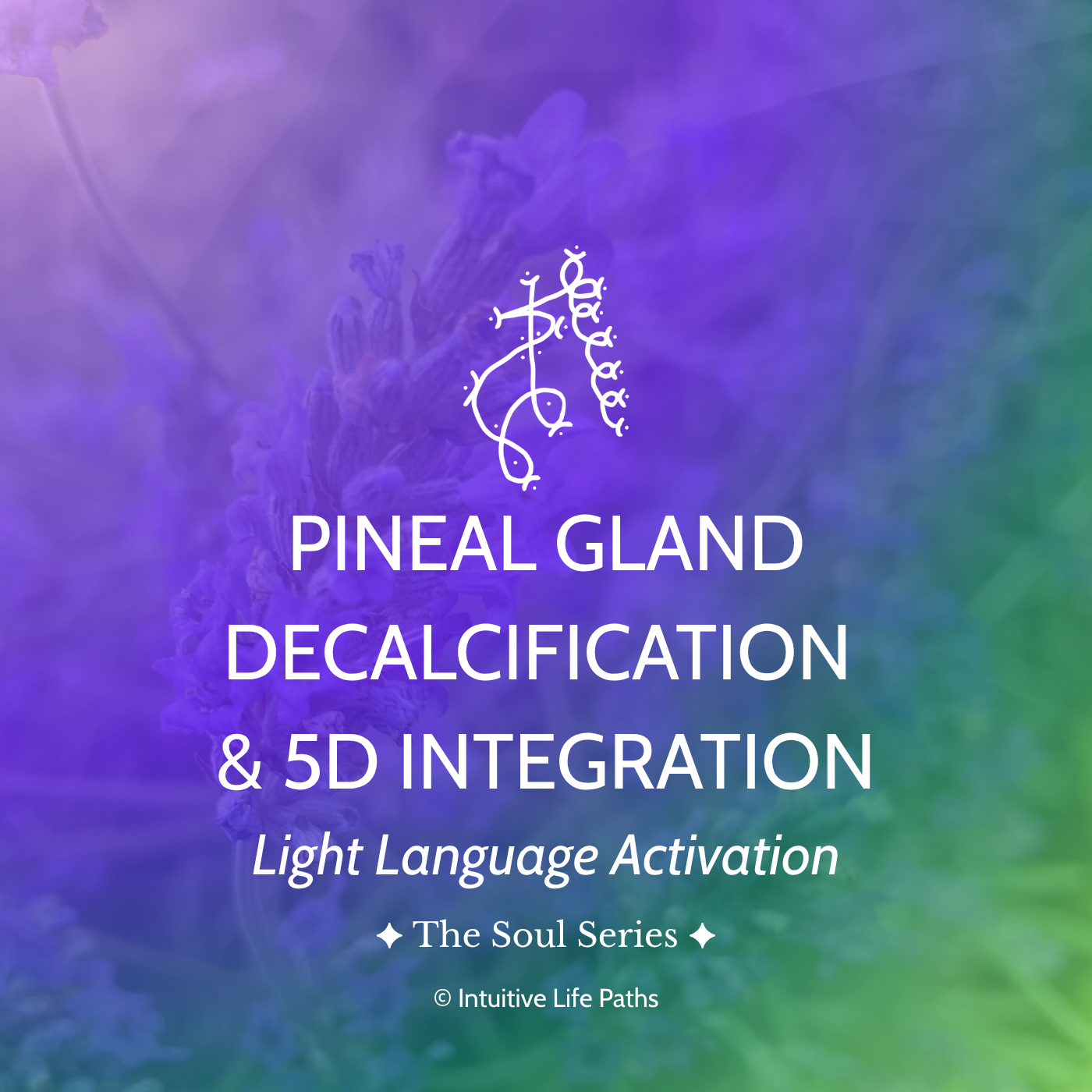 Pineal Gland Decalcification & 5D Integration Light Language Activation