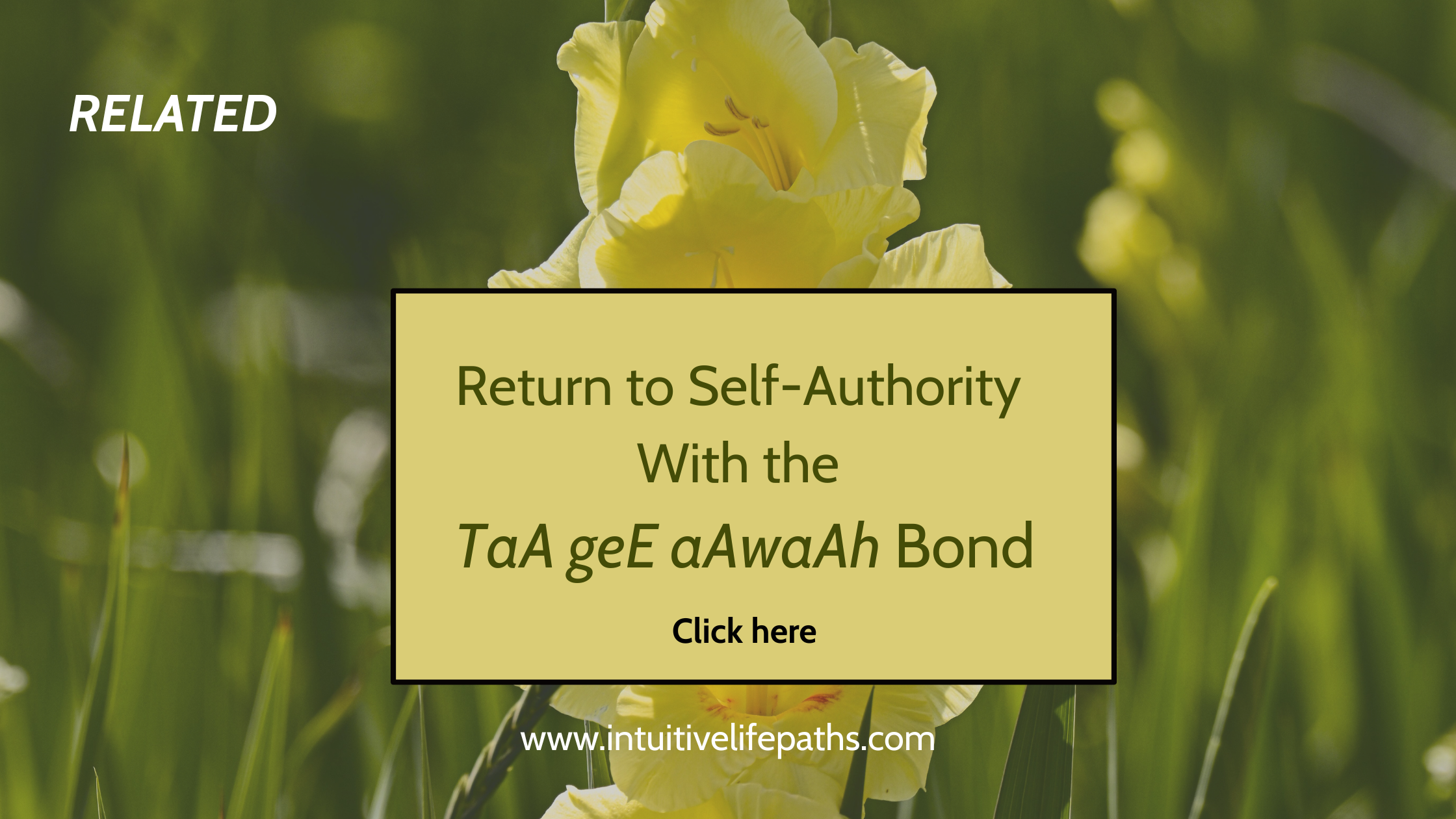 flowers representing self-authority and the TaA geE AawaAh Bond course