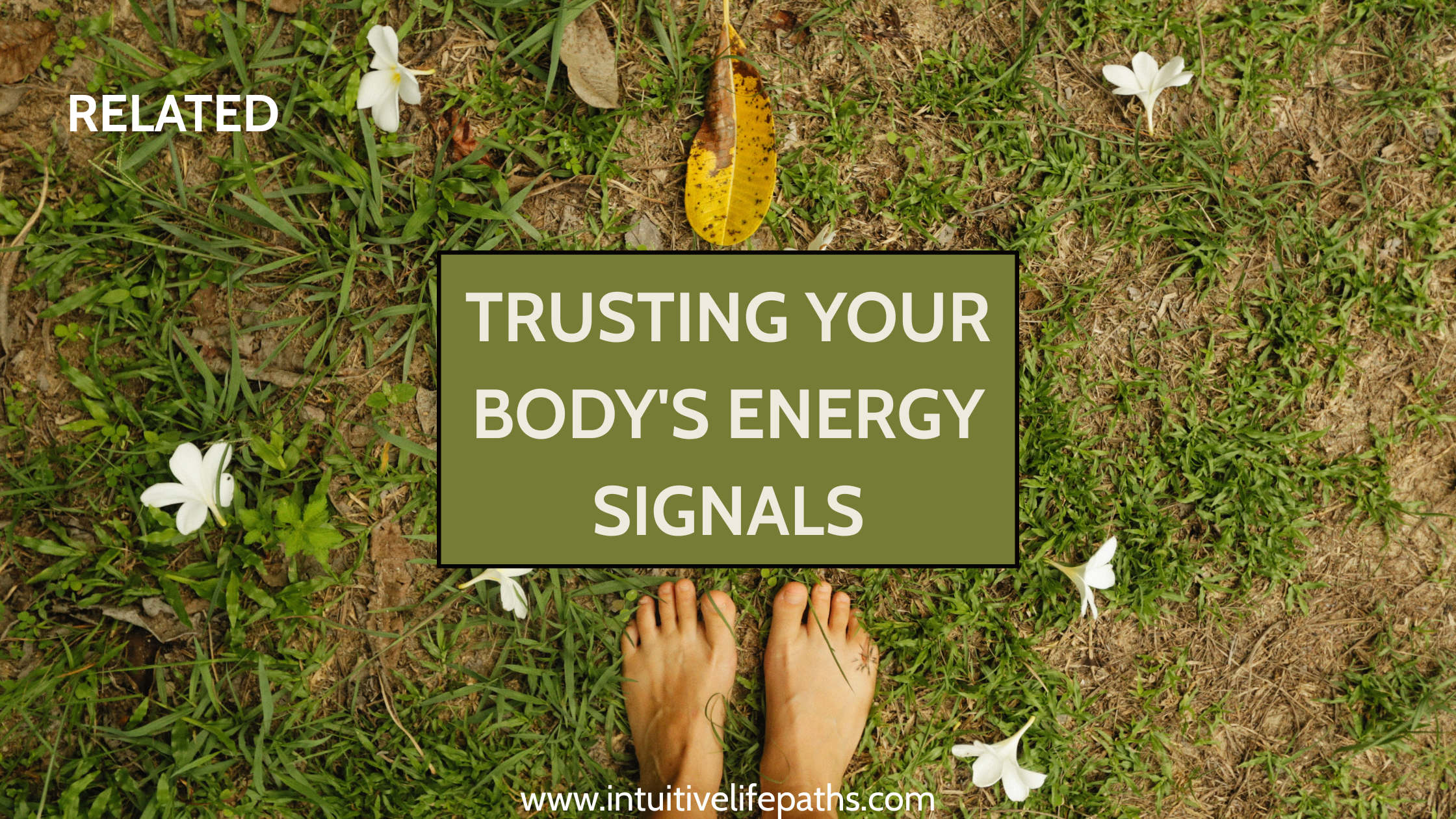 Bare feet standing on grass with white flowers and text overlay: Trusting Your Body's Energy Signals — intuitivelifepaths.com