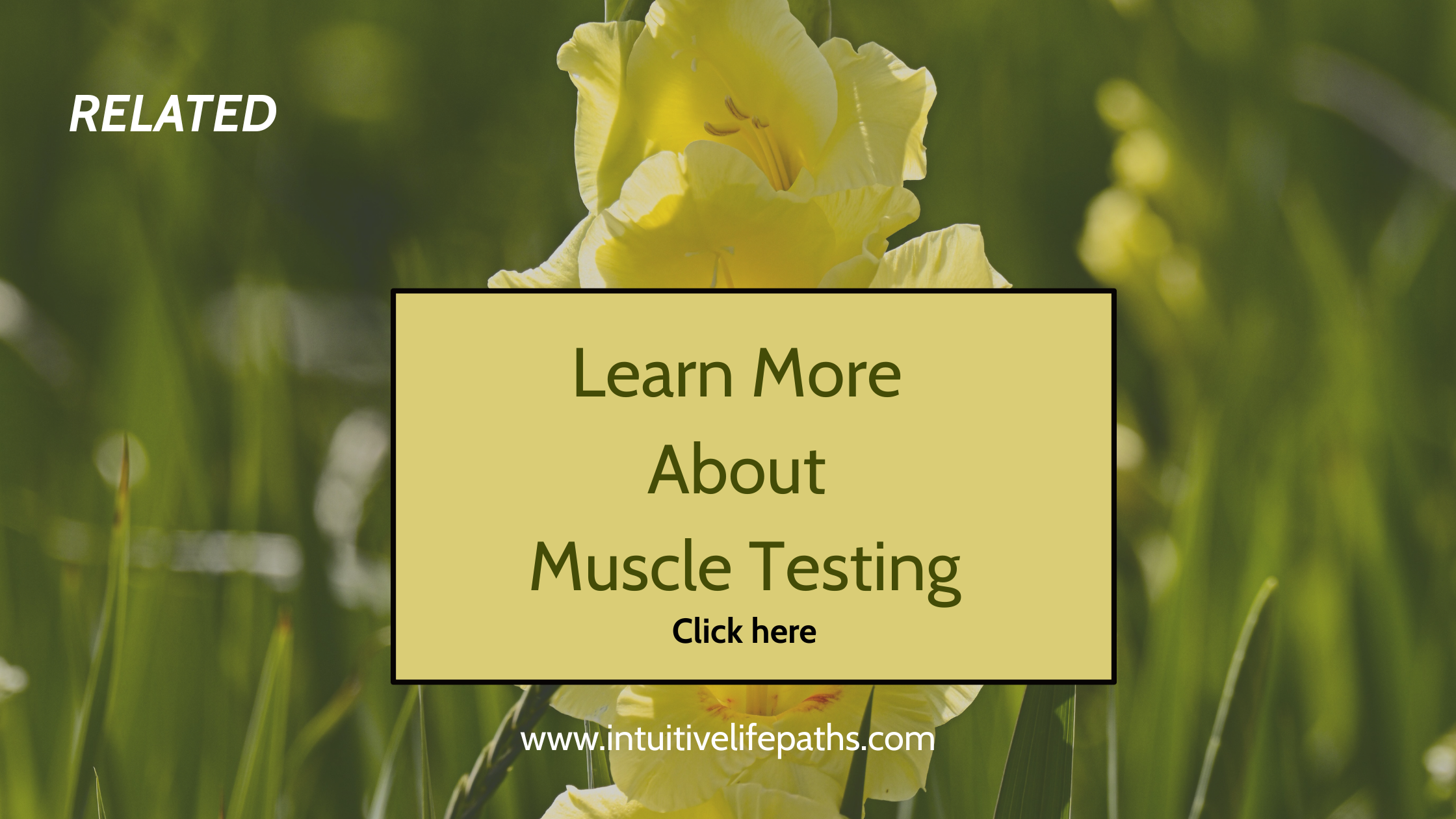 flowers representing body wisdom and intuitive muscle testing