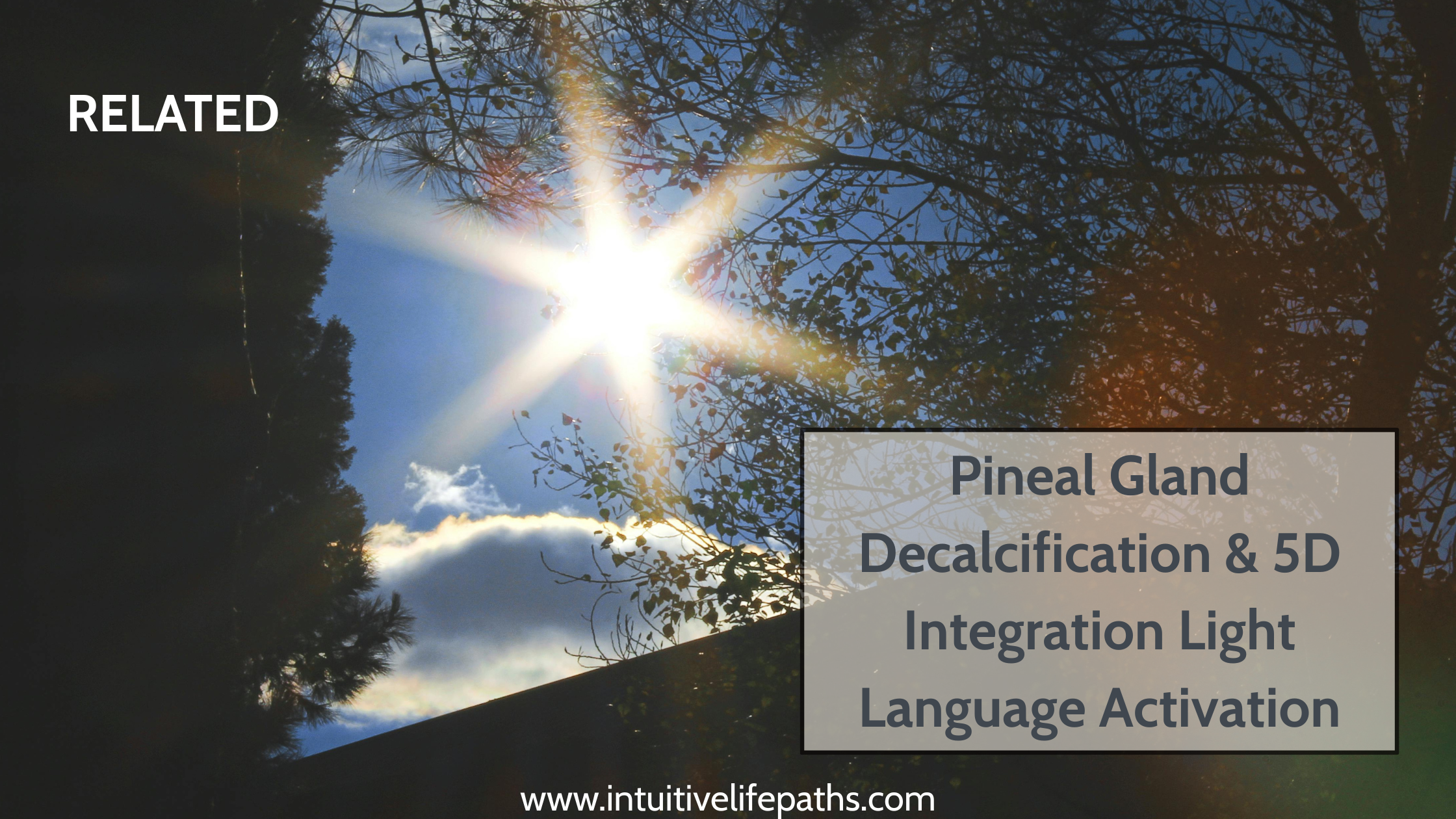 Pineal Gland Decalcification and 5D Integration Light Language Activation — Intuitive Life Paths