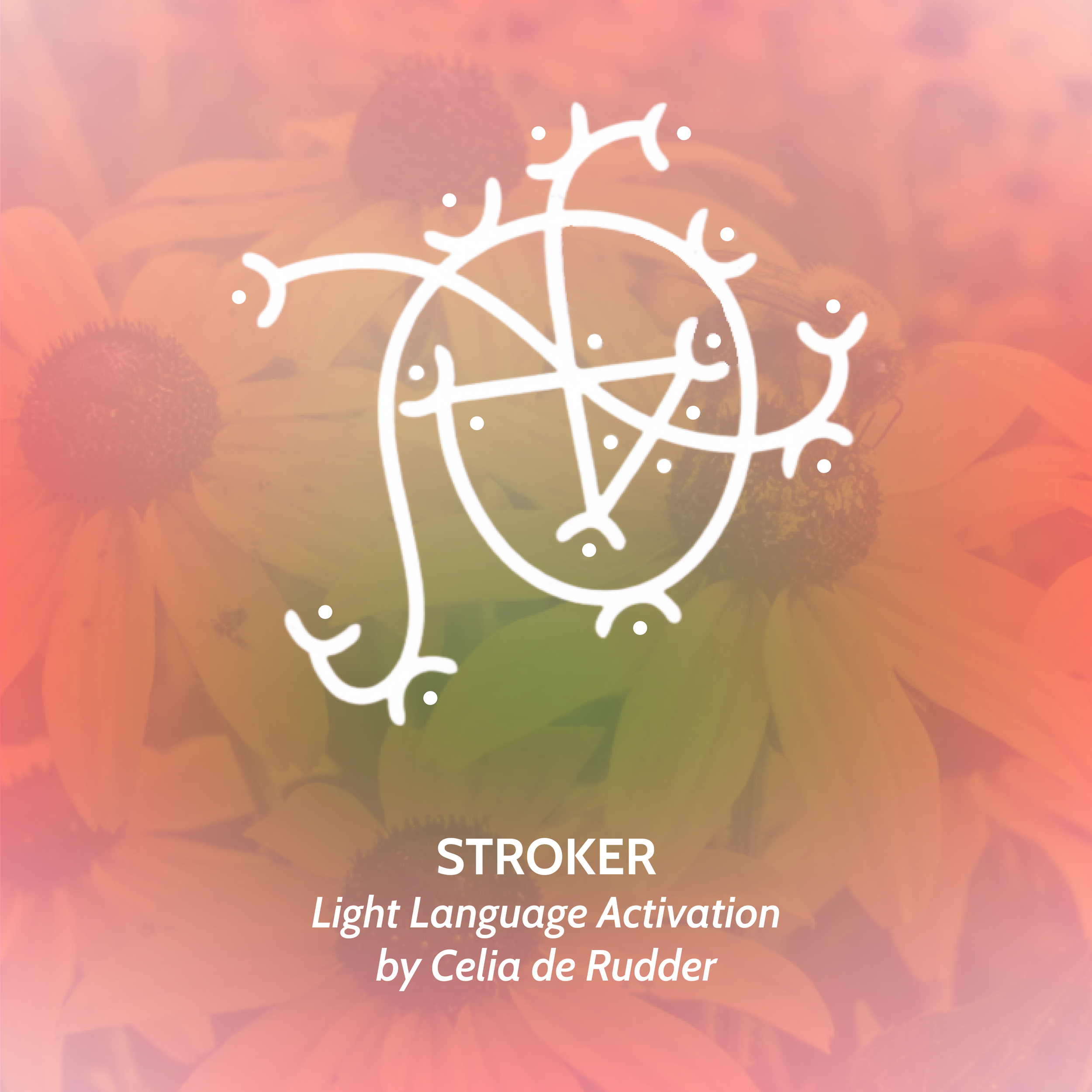 Stroker Light Language Activation