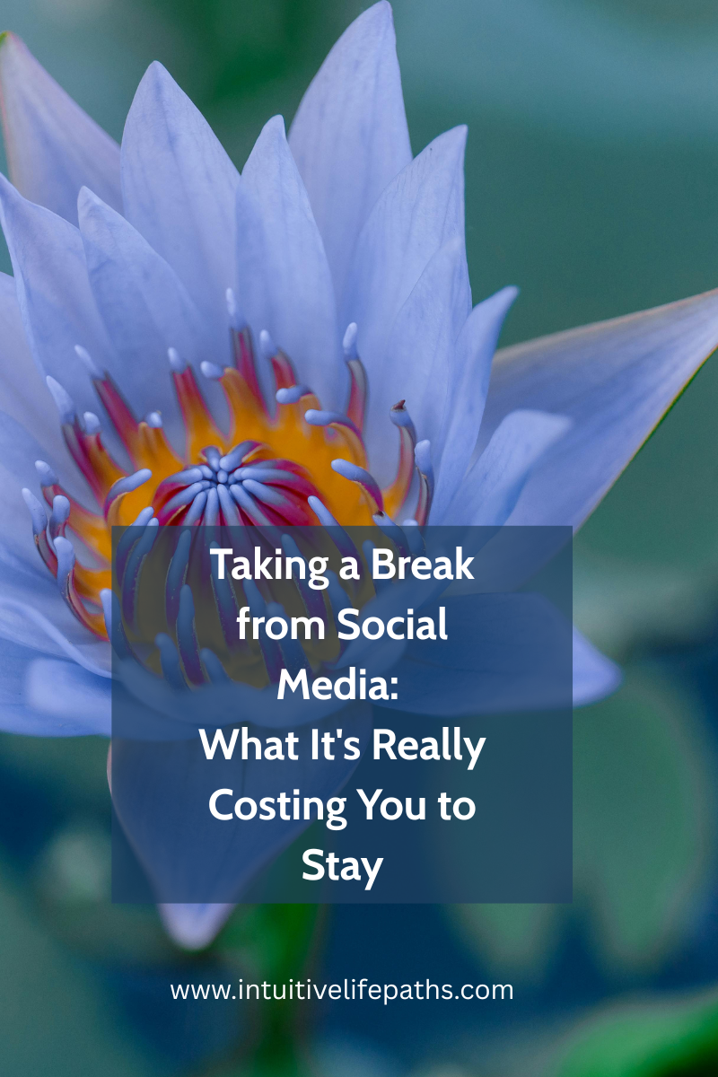 Taking a Break from Social Media What It's Really Costing You to Stay — Blog Post — Intuitive Life Paths