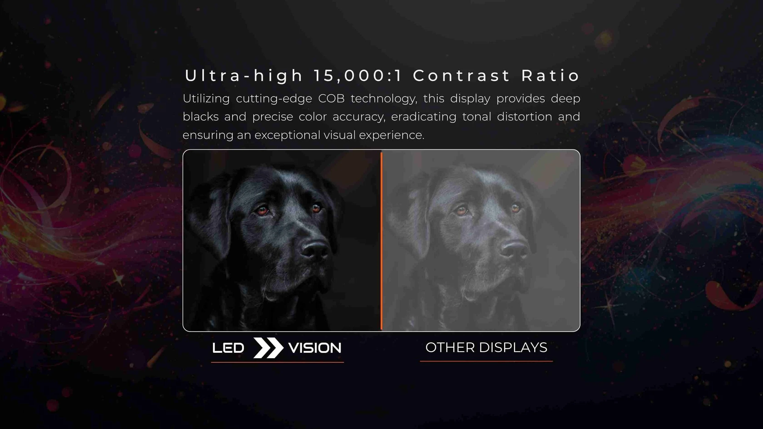 Black labrador image comparing the deep blacks of a 15,000:1 contrast COB outdoor LED screen against a washed-out display with the product Oasis Series by LED Vision