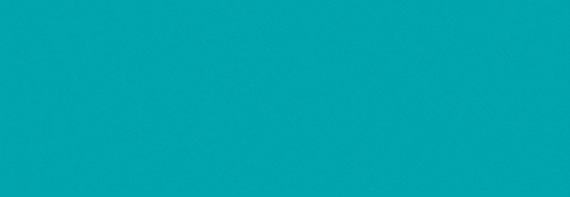 Bundle and Save VW-1.gif