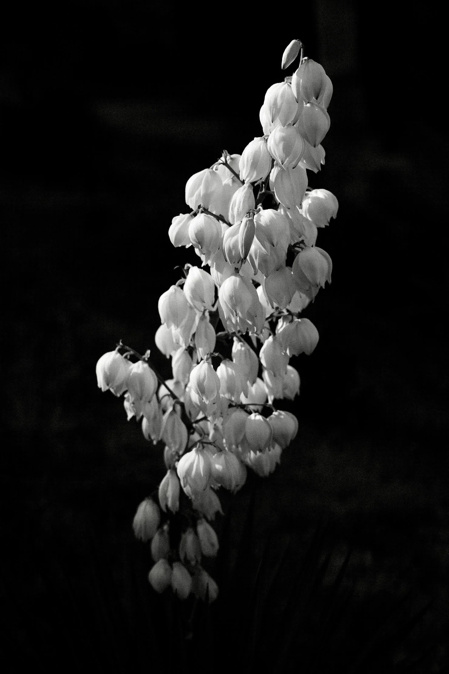 F66A0920.jpg