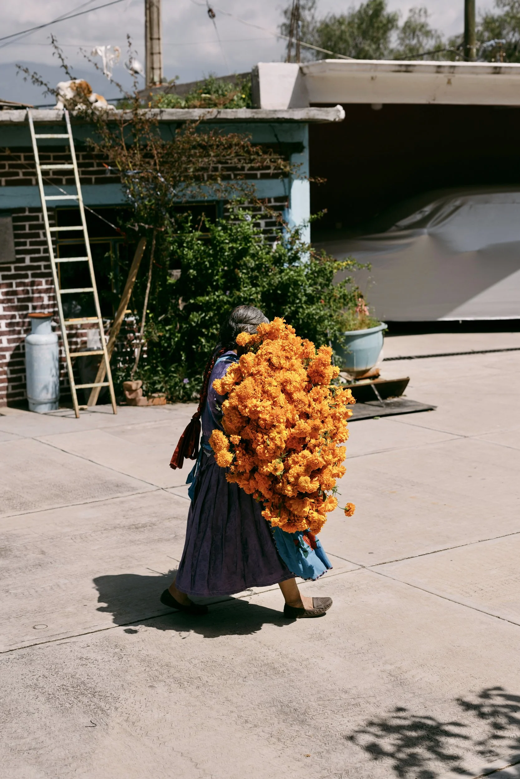 oaxaca_TC-353 3.jpg
