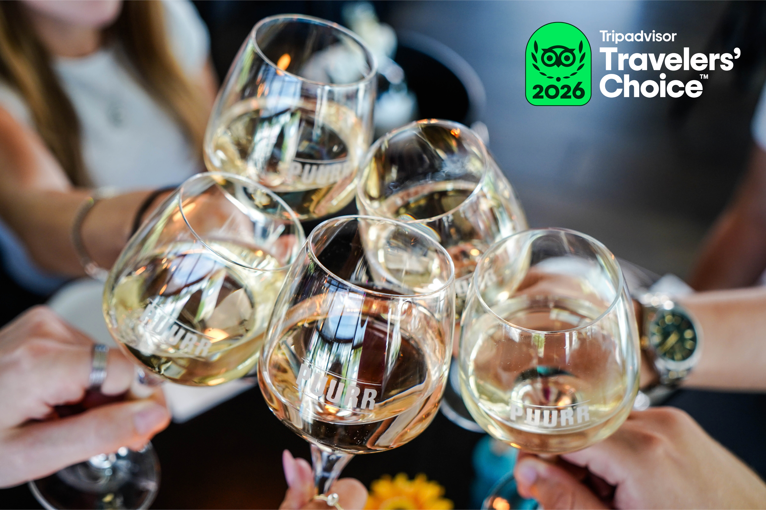 Drie Travelers' Choice Awards voor de PuuRR-familie! 🏆