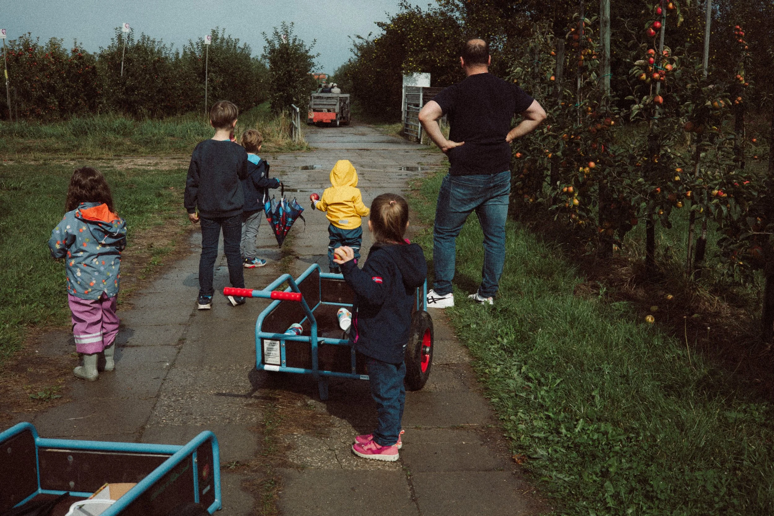Familie mit Kindern beim Spaziergang im Apfelgarten, Kinder mit Einkaufswagen und Schirm.