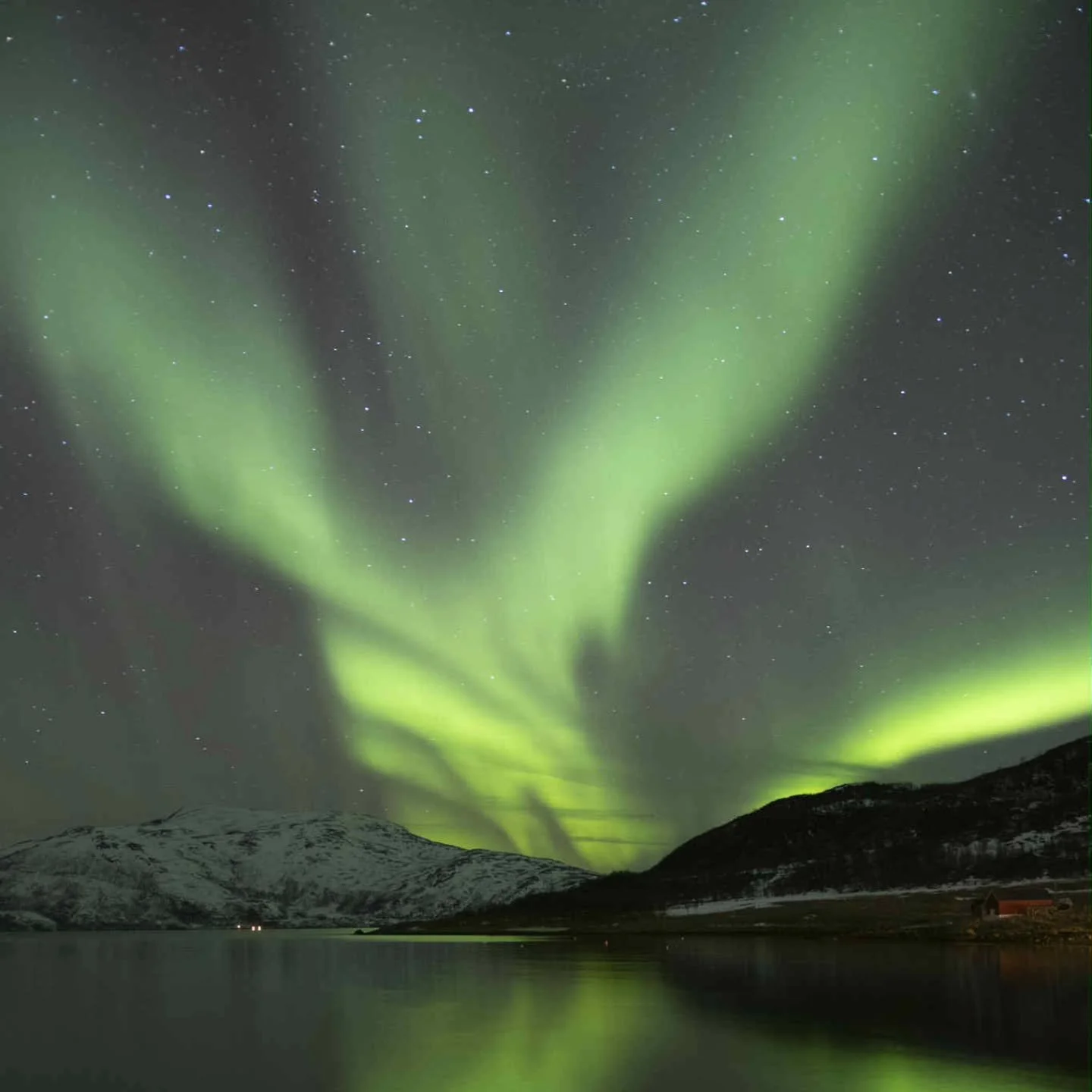 Nights like this 🫶 

#auroraborealis #northernlights #NorthernNorway #troms&oslash; #tromso