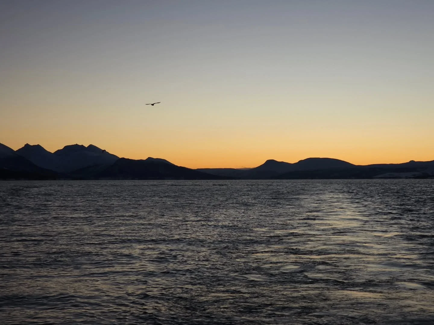 Last week was so magical 🧡