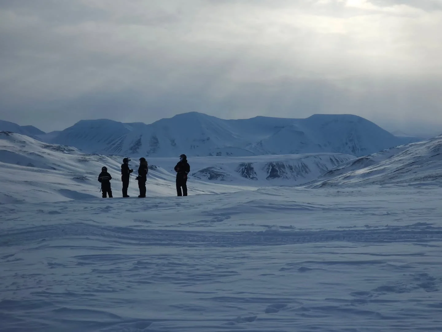 How spring looks like up here 🙃