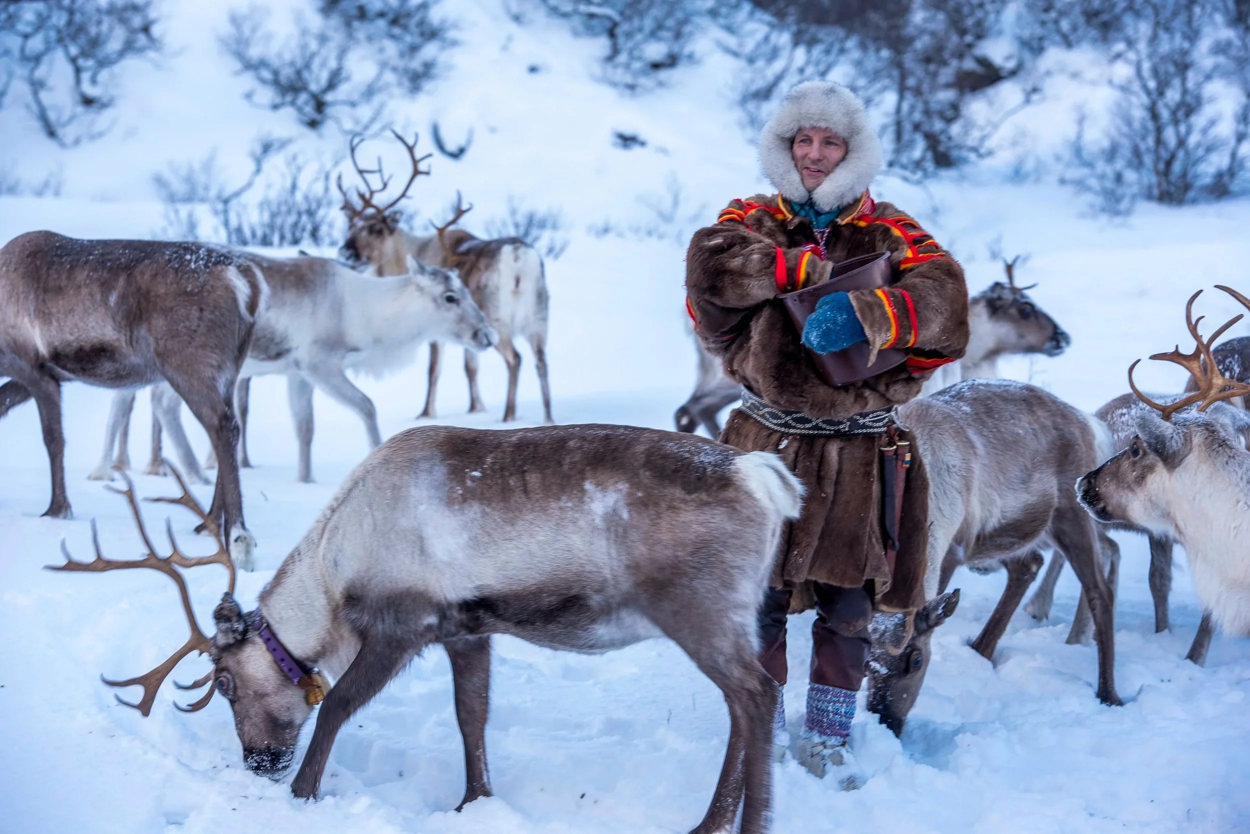 Sami culture
